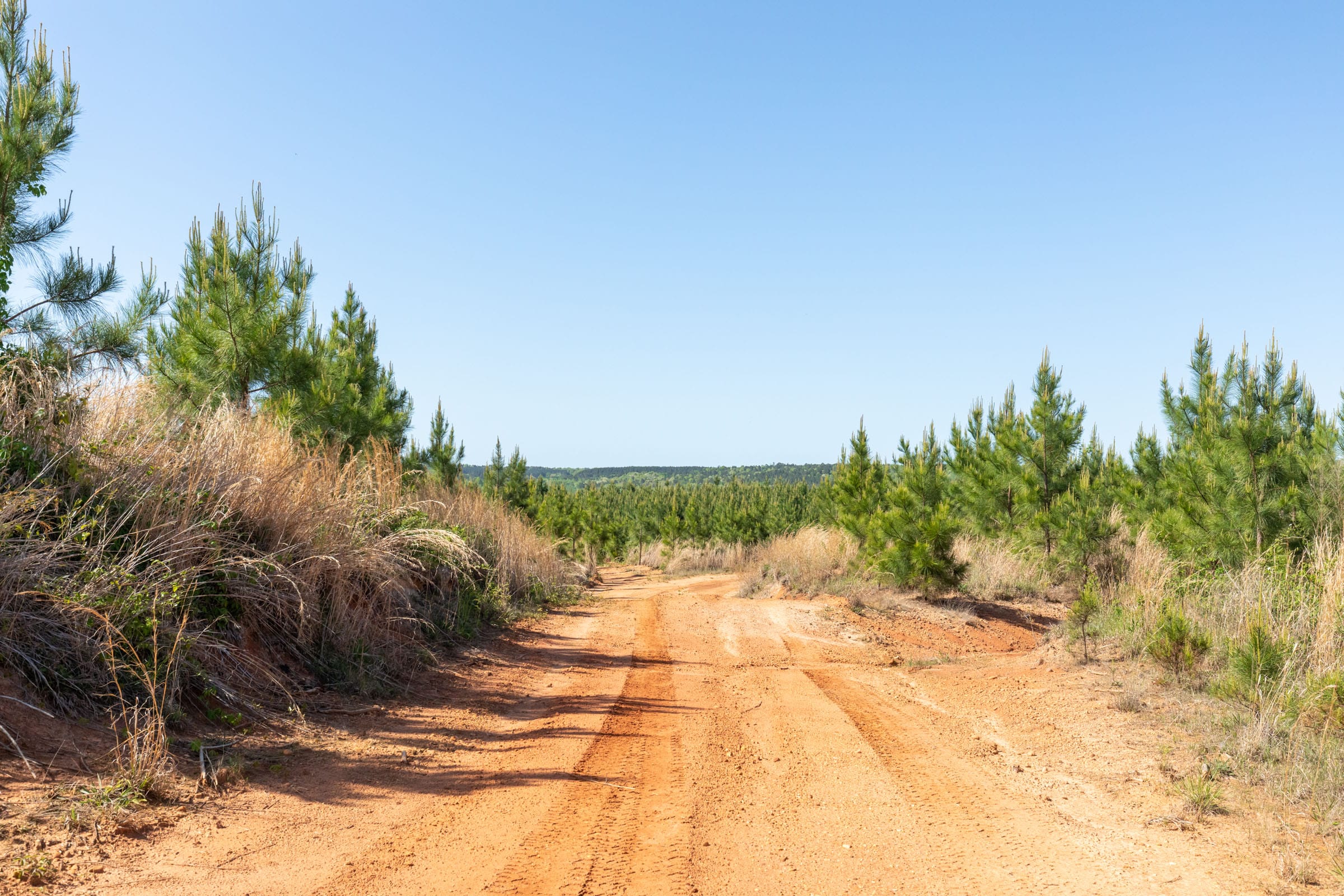 Clear Wood Tract 21 photo 22