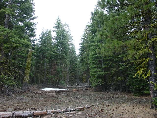 California Pines Tract 21 photo 3