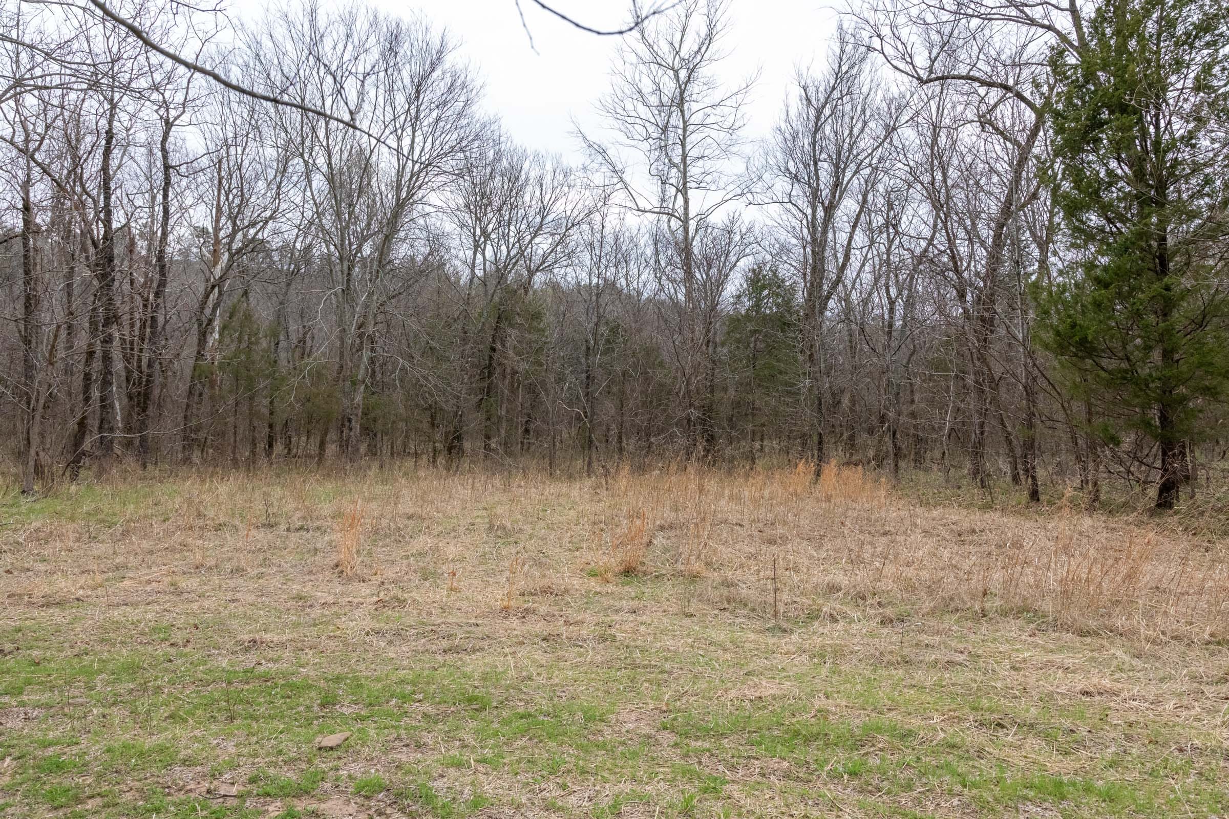 Stone Bridge Phase III Tract 145 photo 8