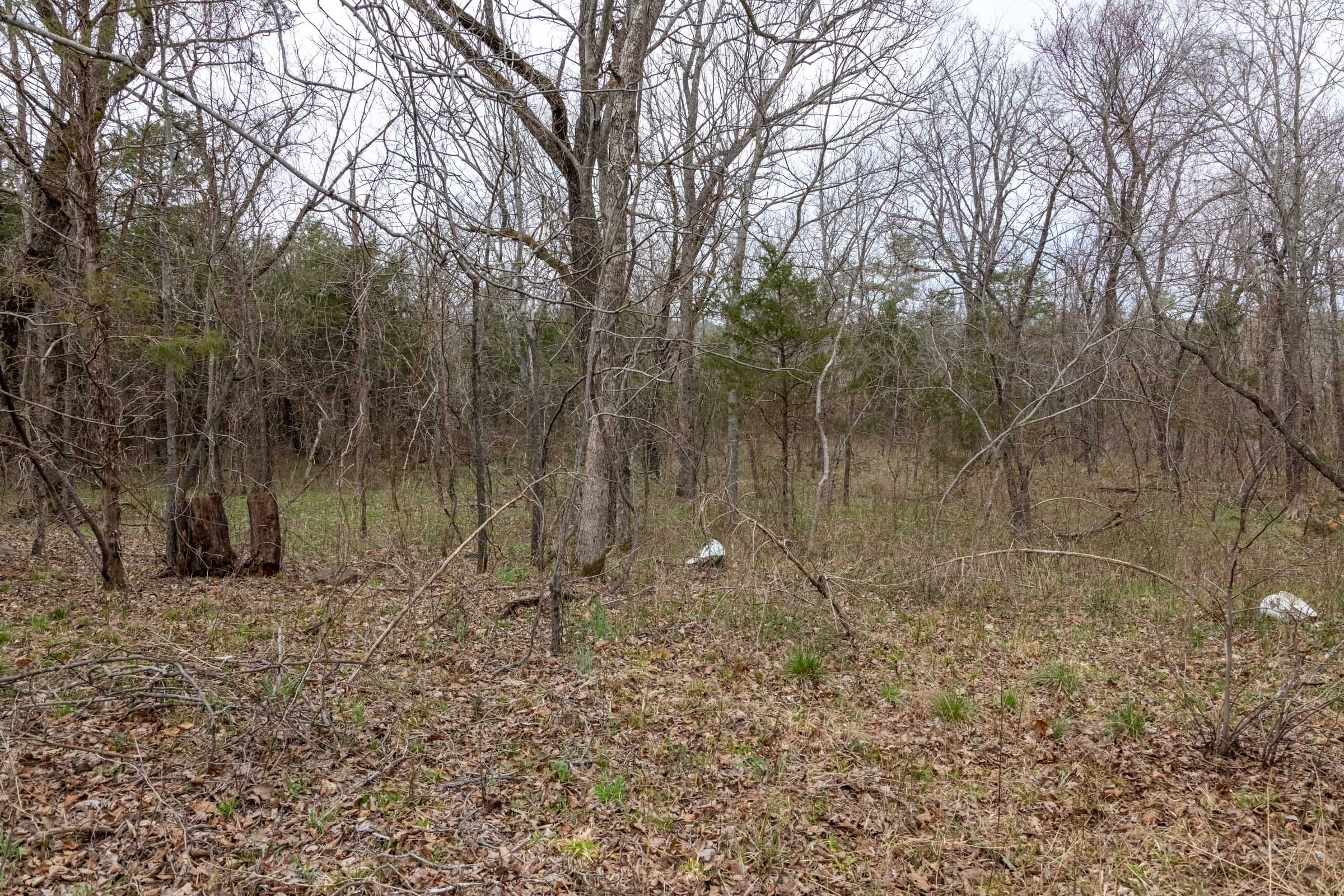 Stone Bridge Phase III Tract 145 photo 12