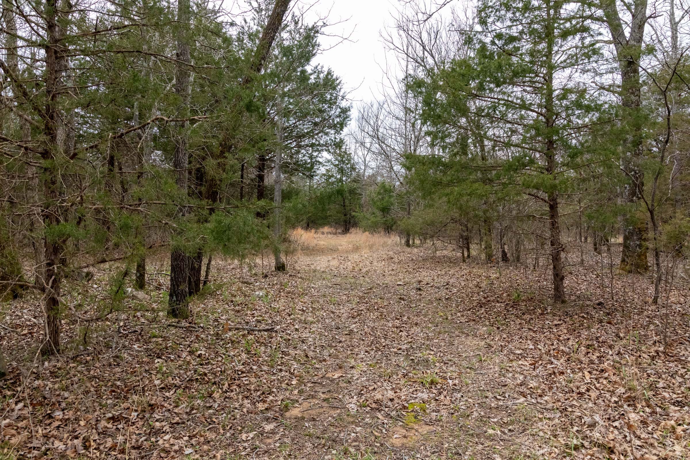 Stone Bridge Phase III Tract 145 photo 2