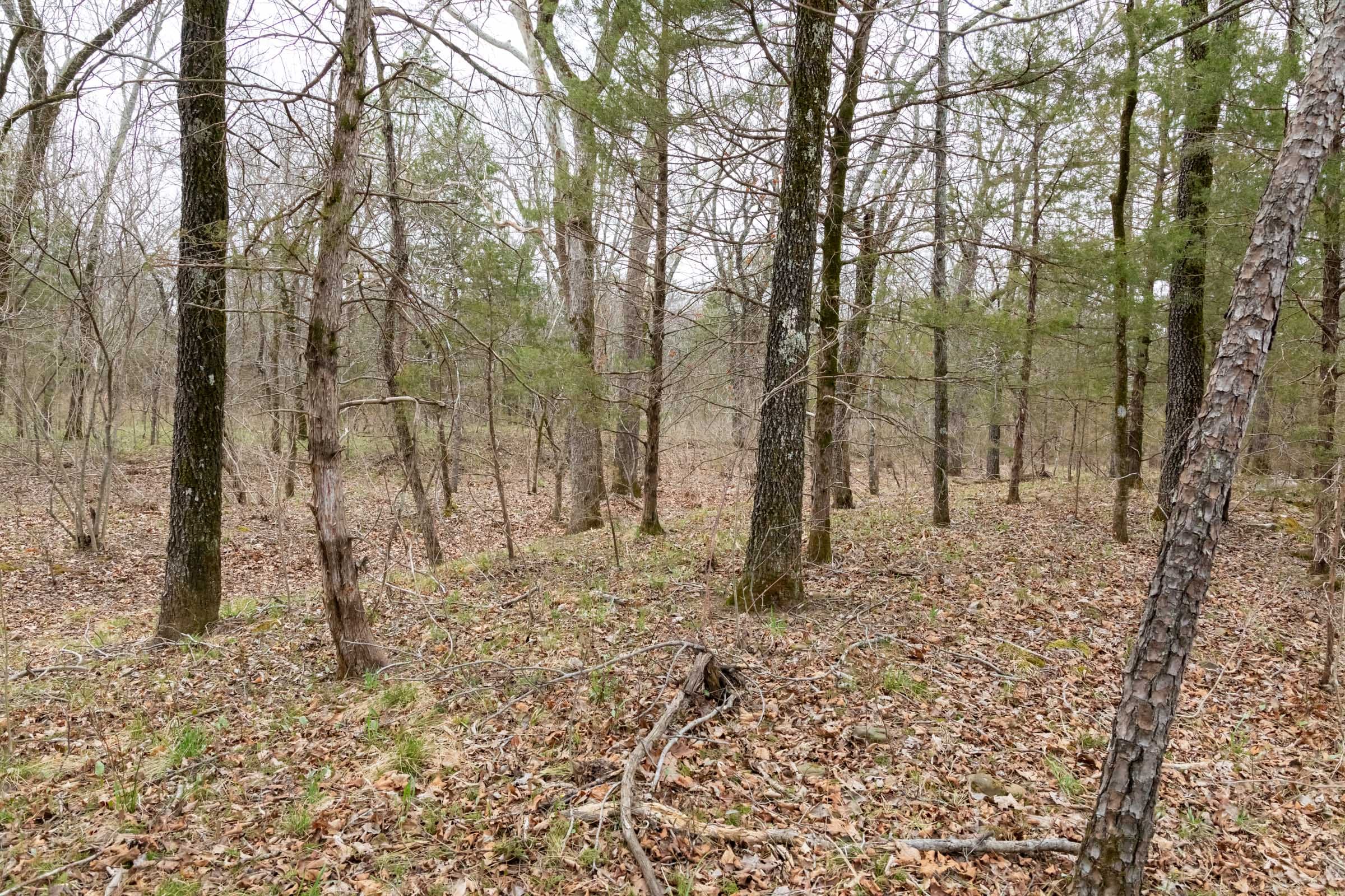 Stone Bridge Phase III Tract 145 photo 15