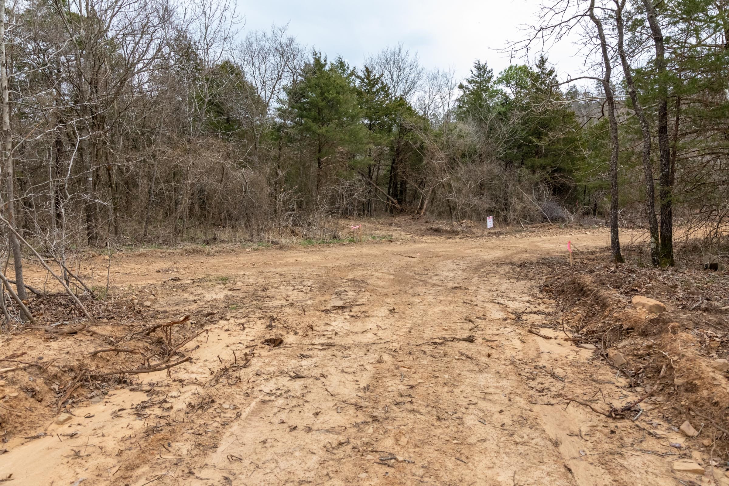 Stone Bridge Phase III Tract 145 photo 13