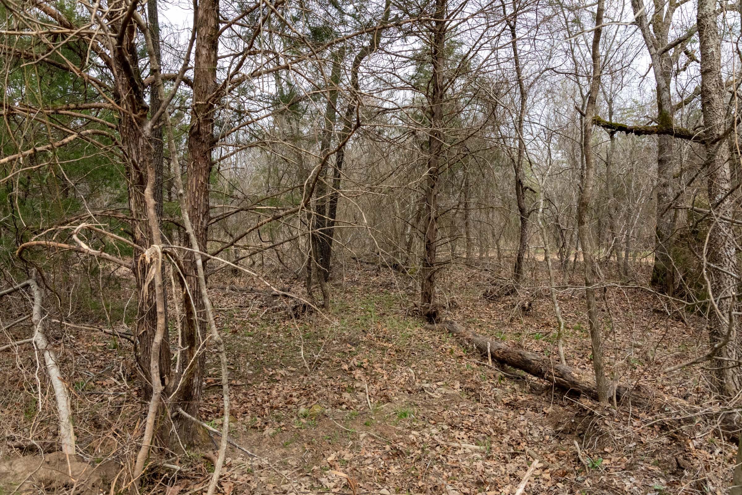 Stone Bridge Phase III Tract 145 photo 16