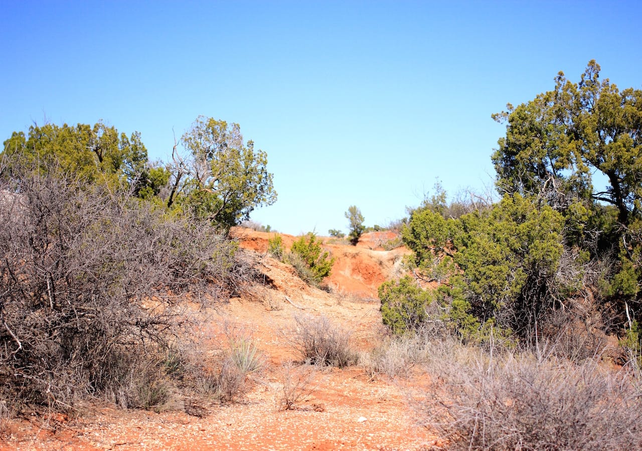 Red Rock Ranch Tract 6 photo 4