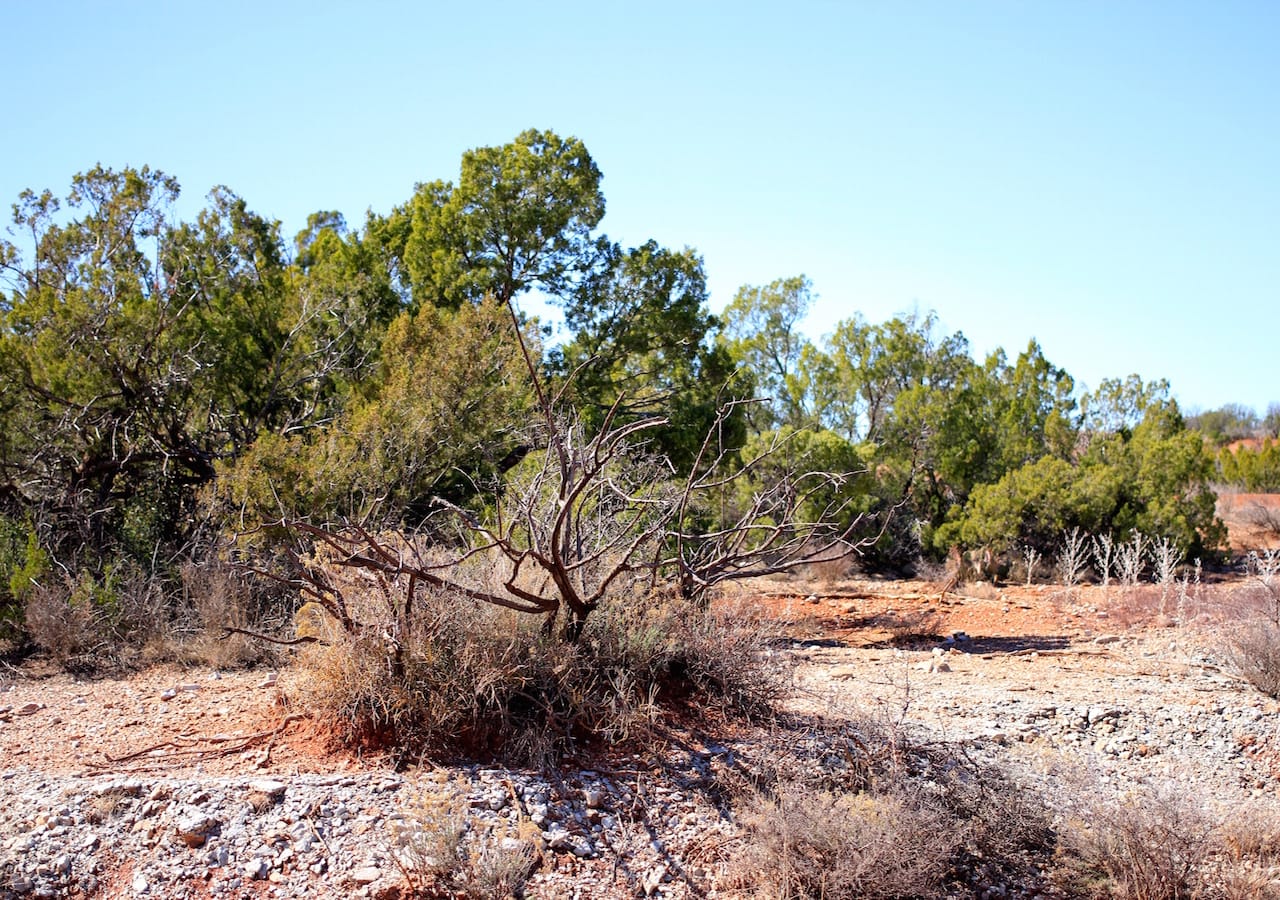 Red Rock Ranch Tract 6 photo 12