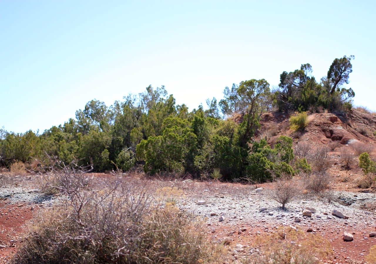 Red Rock Ranch Tract 6 photo 13