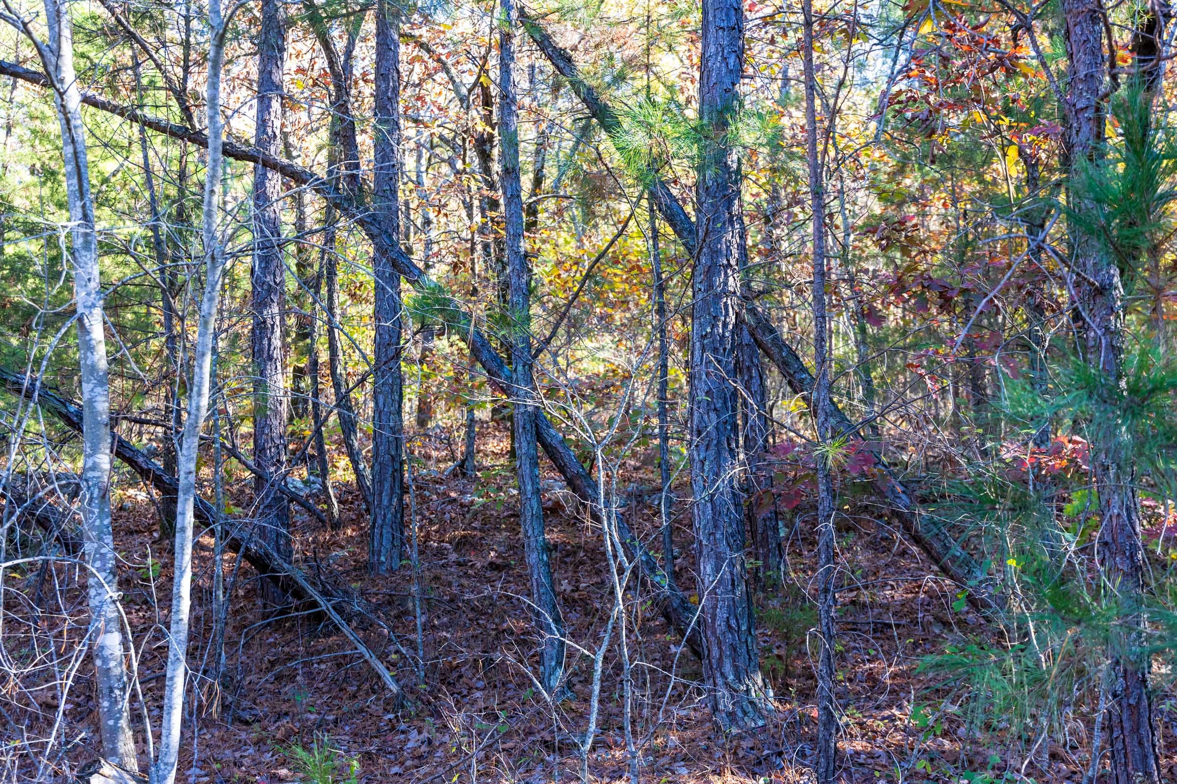 Stone Bridge Reserve Tract 21 photo 7