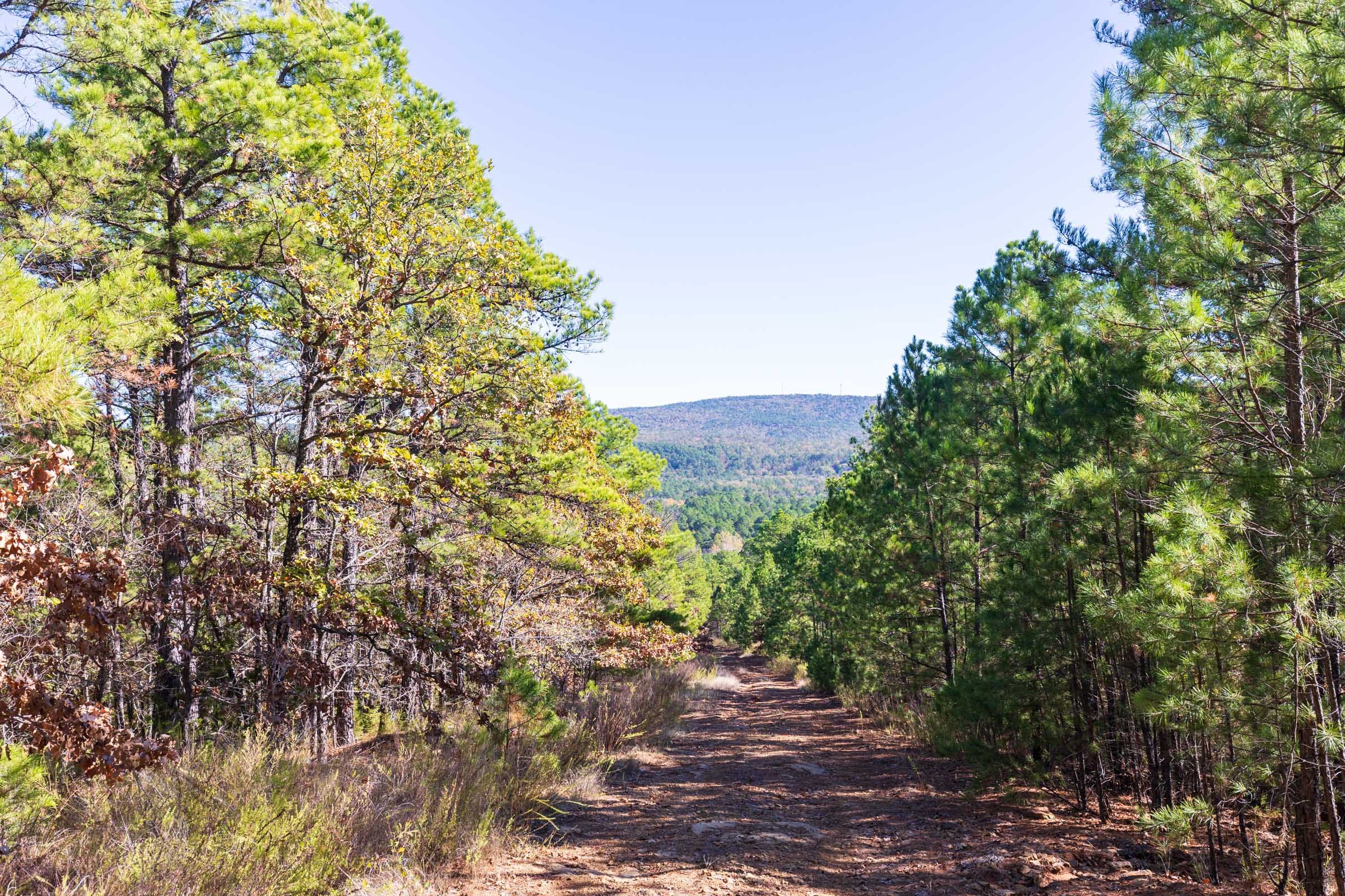 Stone Bridge Reserve Tract 21 photo 6