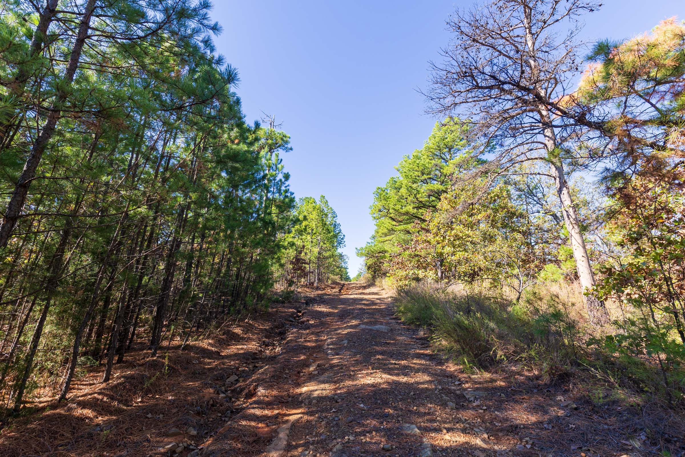 Stone Bridge Reserve Tract 21 photo 2
