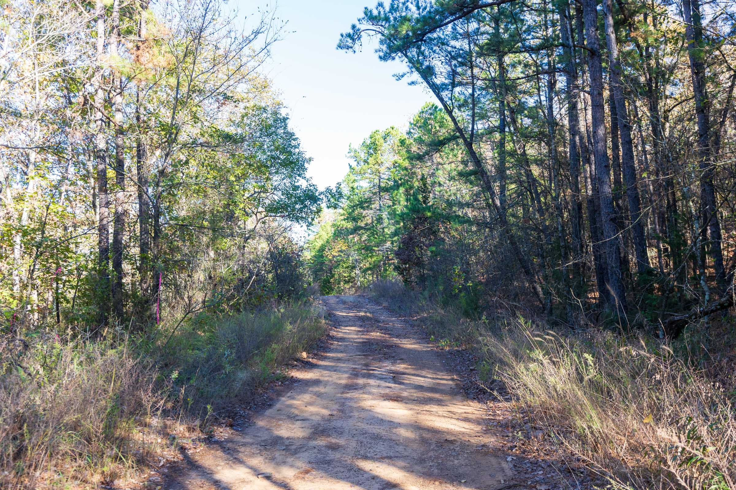 Stone Bridge Reserve Tract 21 photo 1