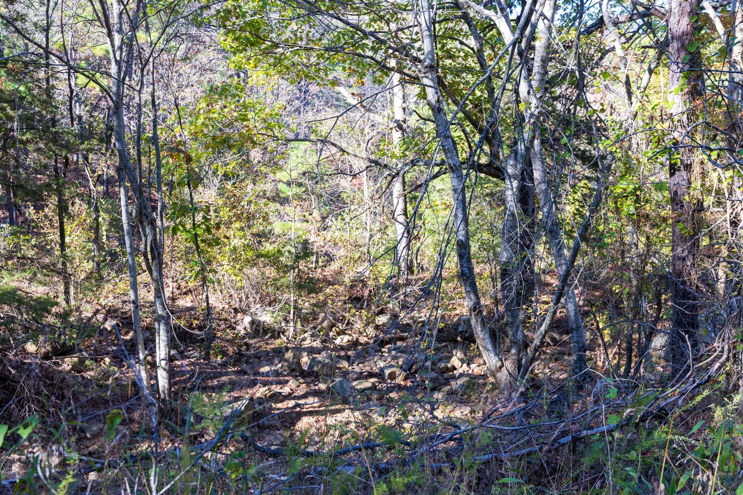 Stone Bridge Reserve Tract 21 photo 4