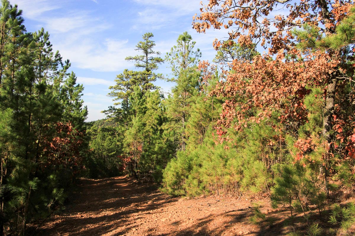 Stone Creek Phase III Tract 5 photo 2