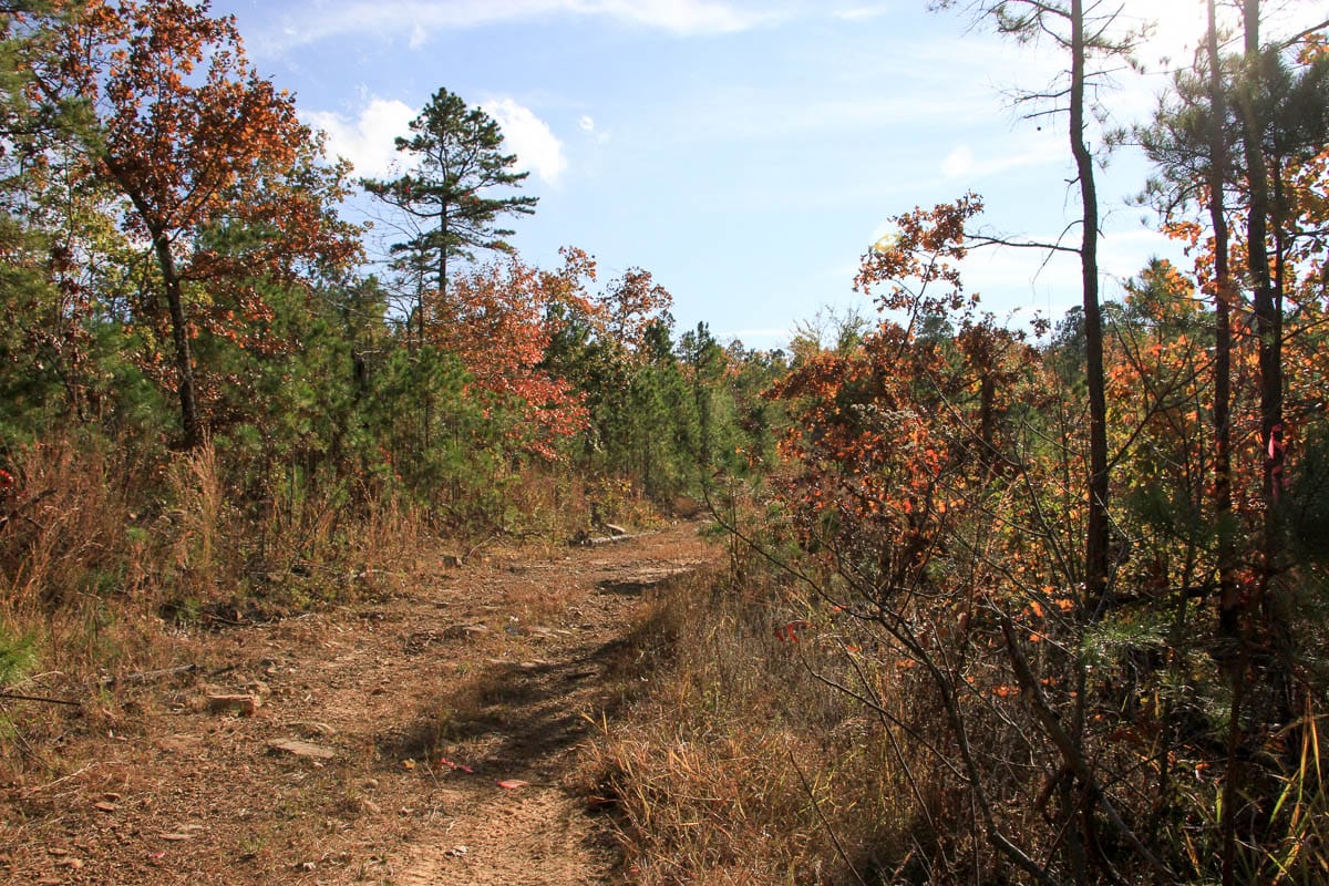 Stone Creek Phase III Tract 5 photo 5