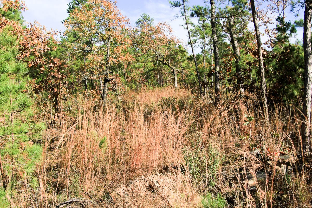 Stone Creek Phase III Tract 5 photo 6