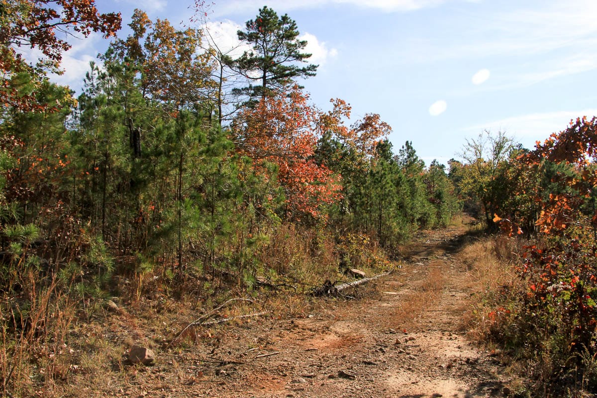 Stone Creek Phase III Tract 5 photo 7