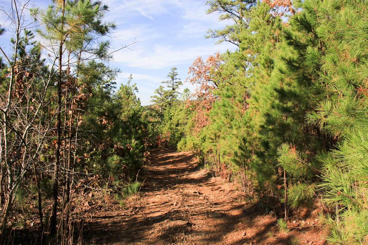 Stone Creek Phase III Tract 5 photo 8