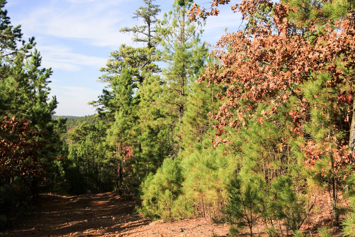 Stone Creek Phase III Tract 5 photo 10