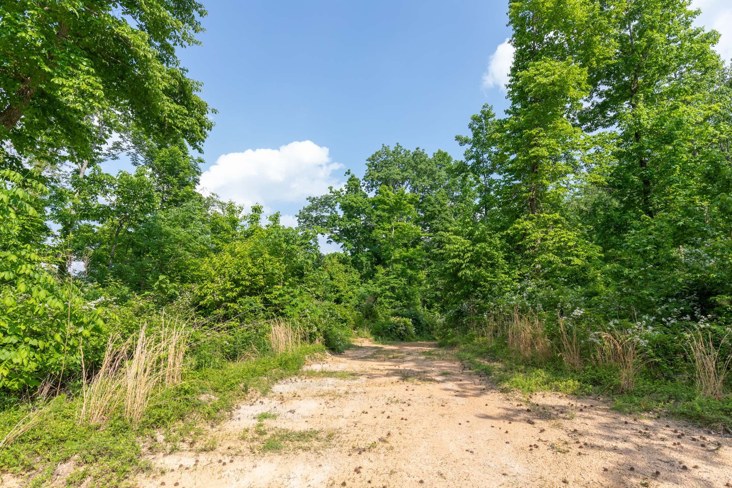 Cedar Creek Tract 25 photo 1