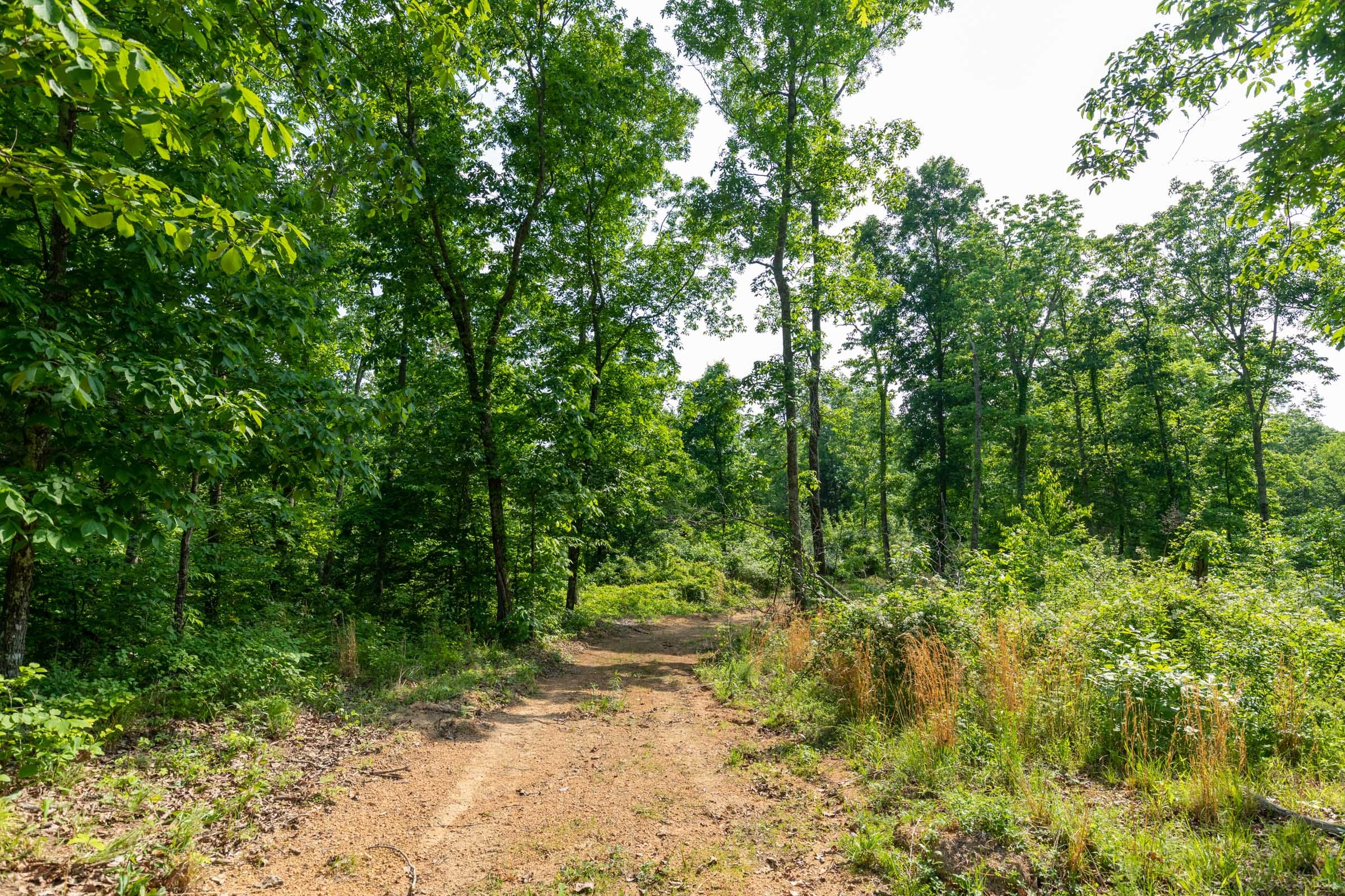 Cedar Creek Tract 25 photo 5