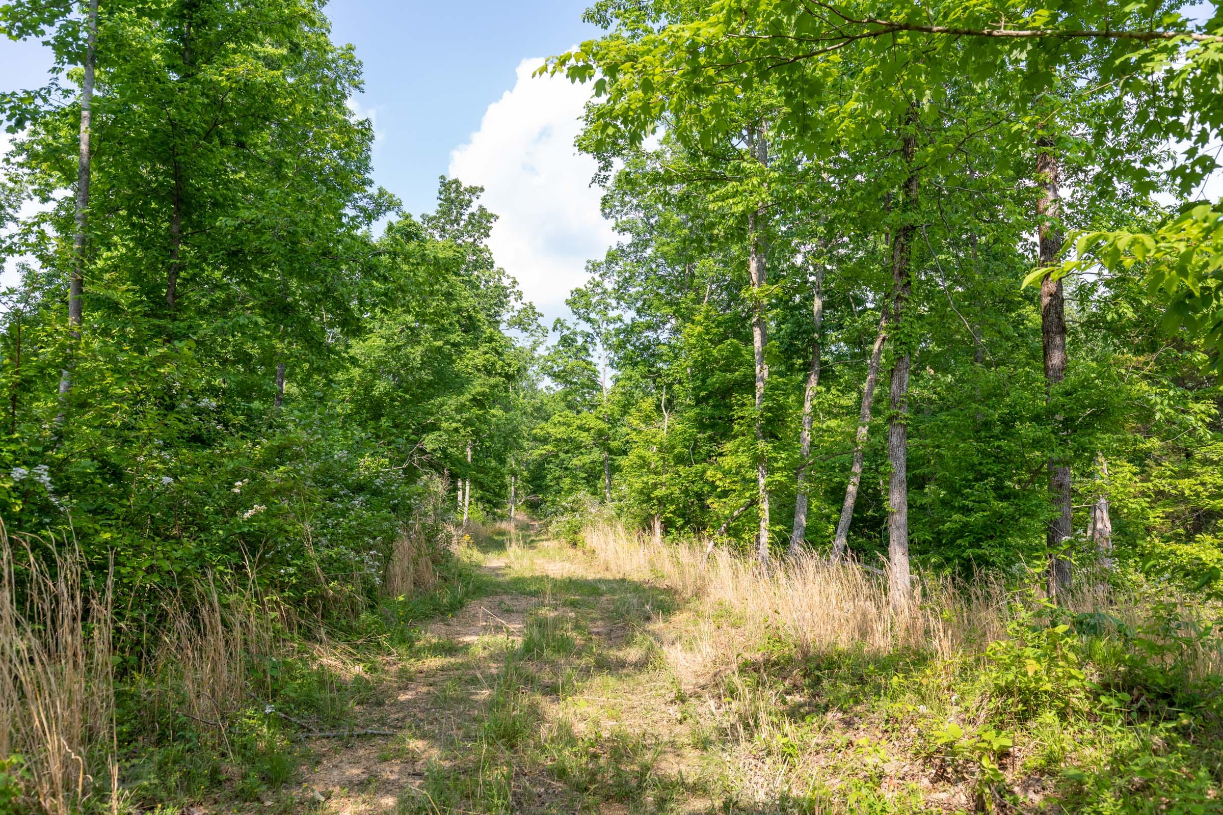 Cedar Creek Tract 25 photo 9