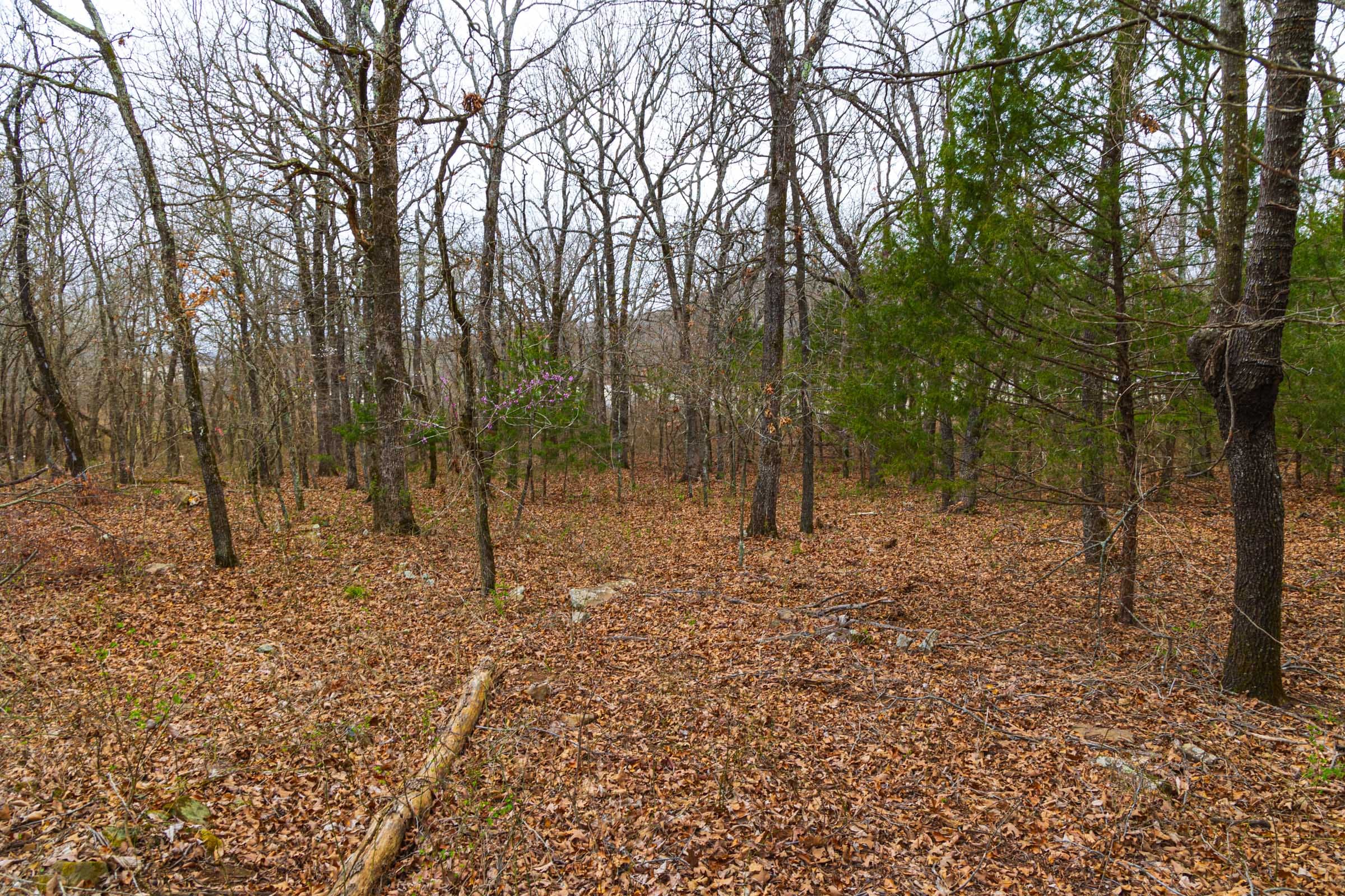 Reserves At Cattail Cove Phase I Tract 13 photo 4