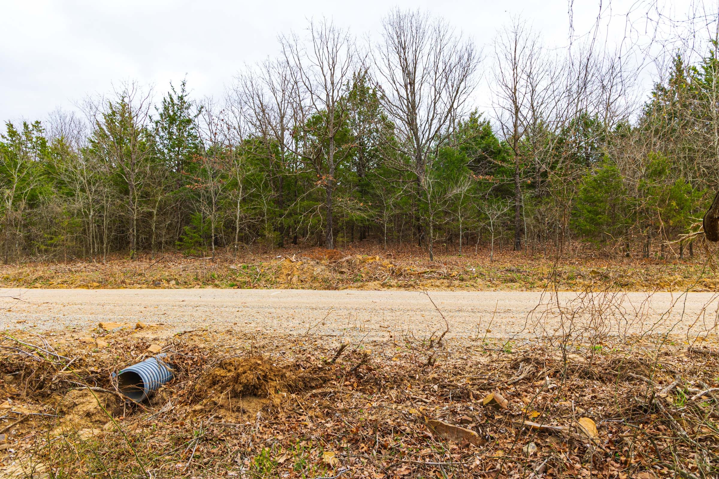Reserves At Cattail Cove Phase I Tract 13 photo 8