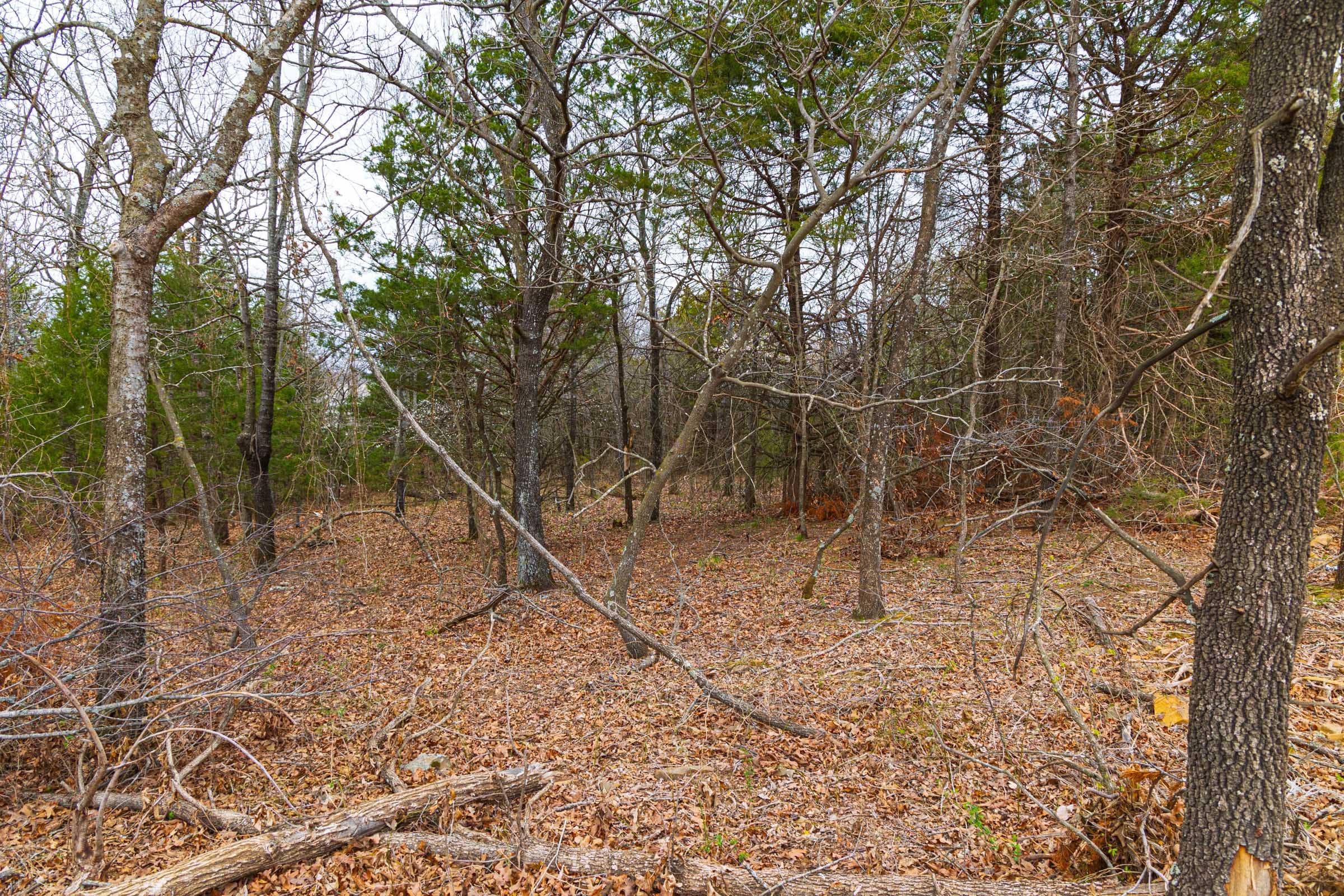 Reserves At Cattail Cove Phase I Tract 13 photo 19