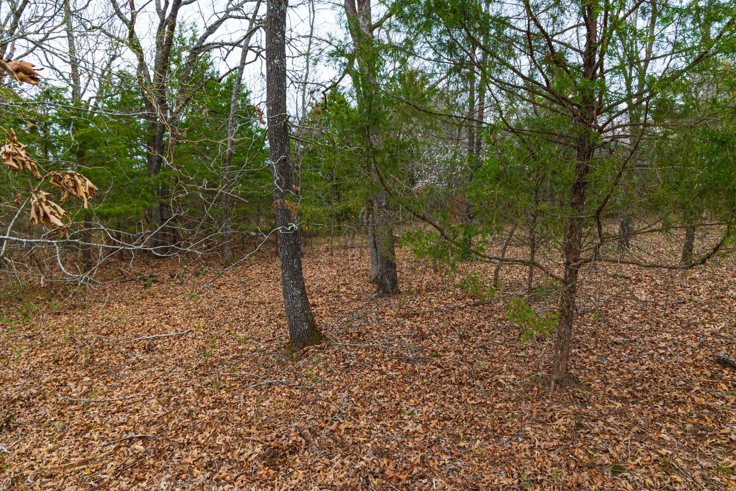Reserves At Cattail Cove Phase I Tract 13 photo 18