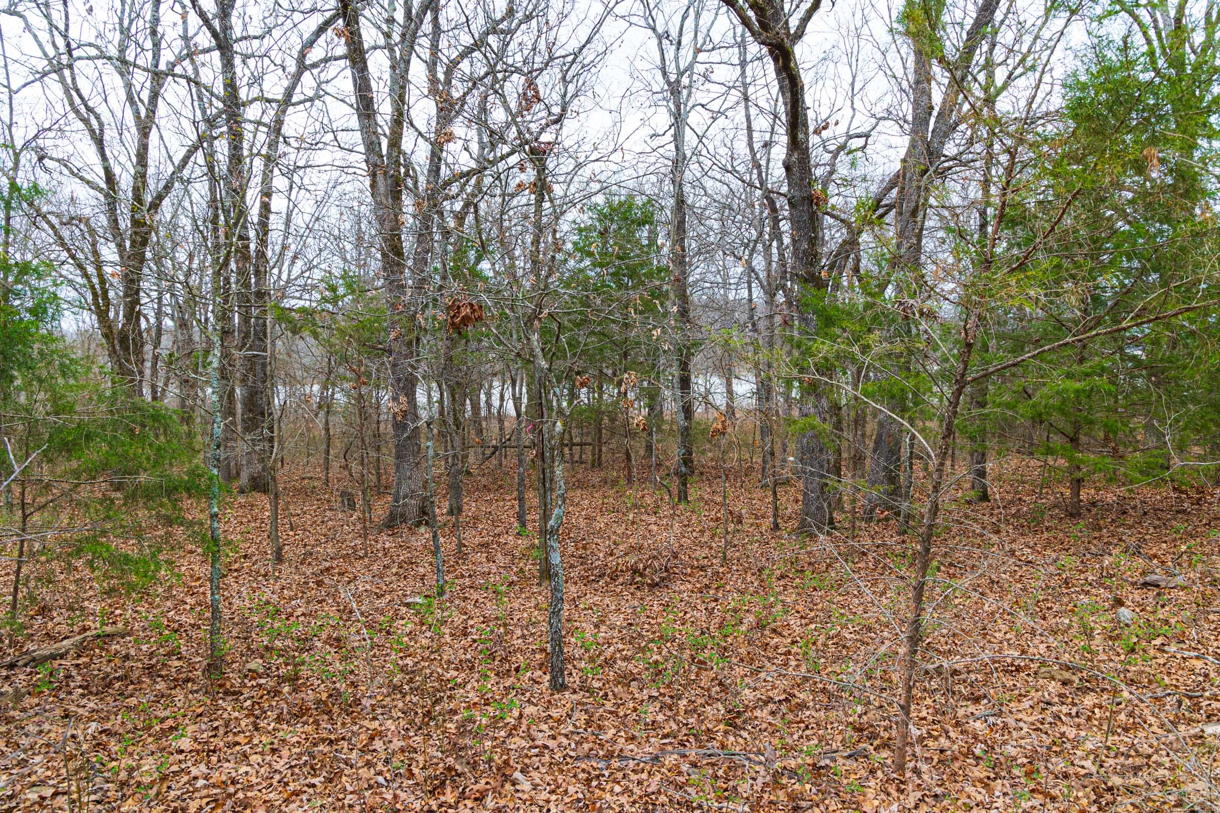 Reserves At Cattail Cove Phase I Tract 13 photo 17