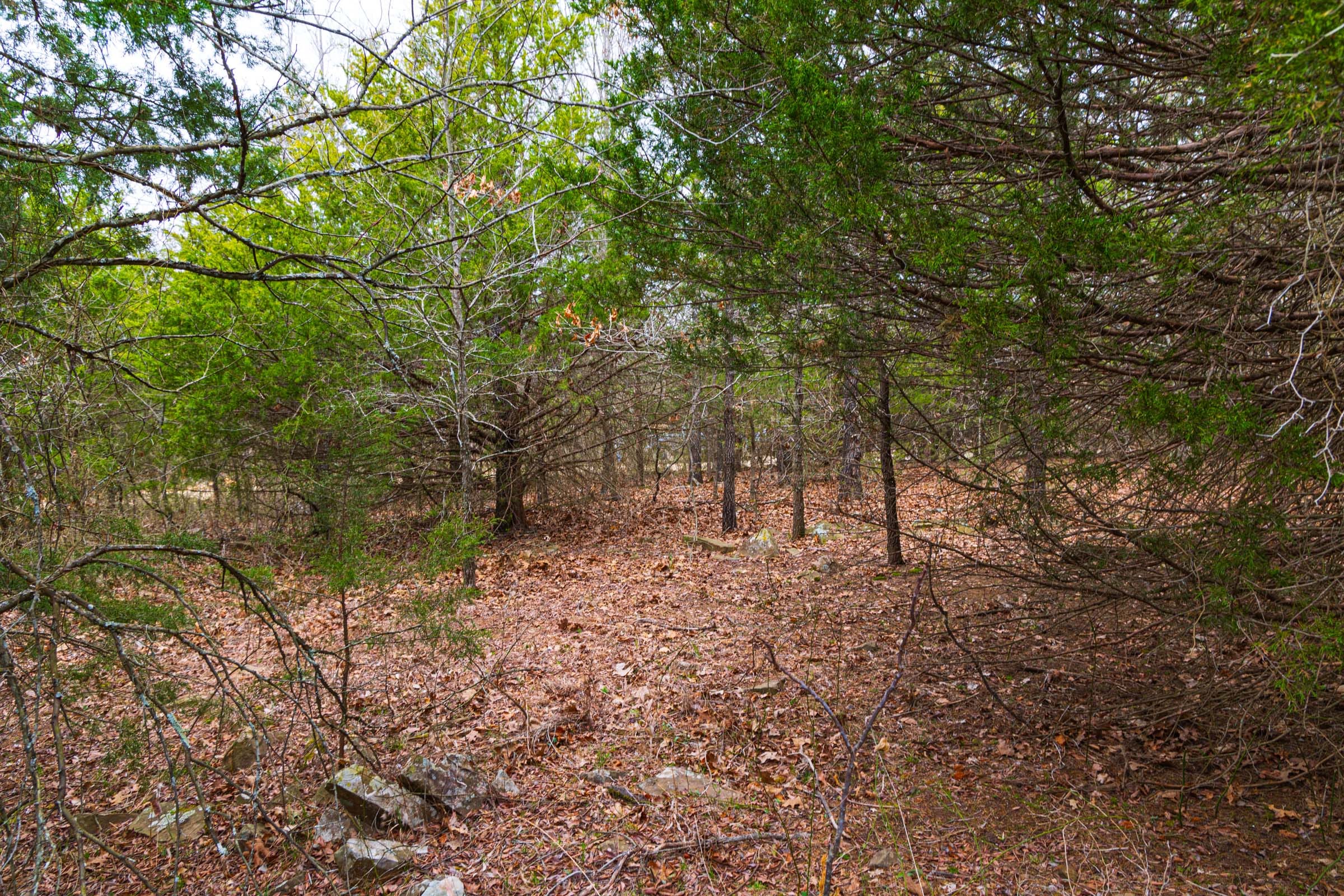Reserves At Cattail Cove Phase I Tract 13 photo 15