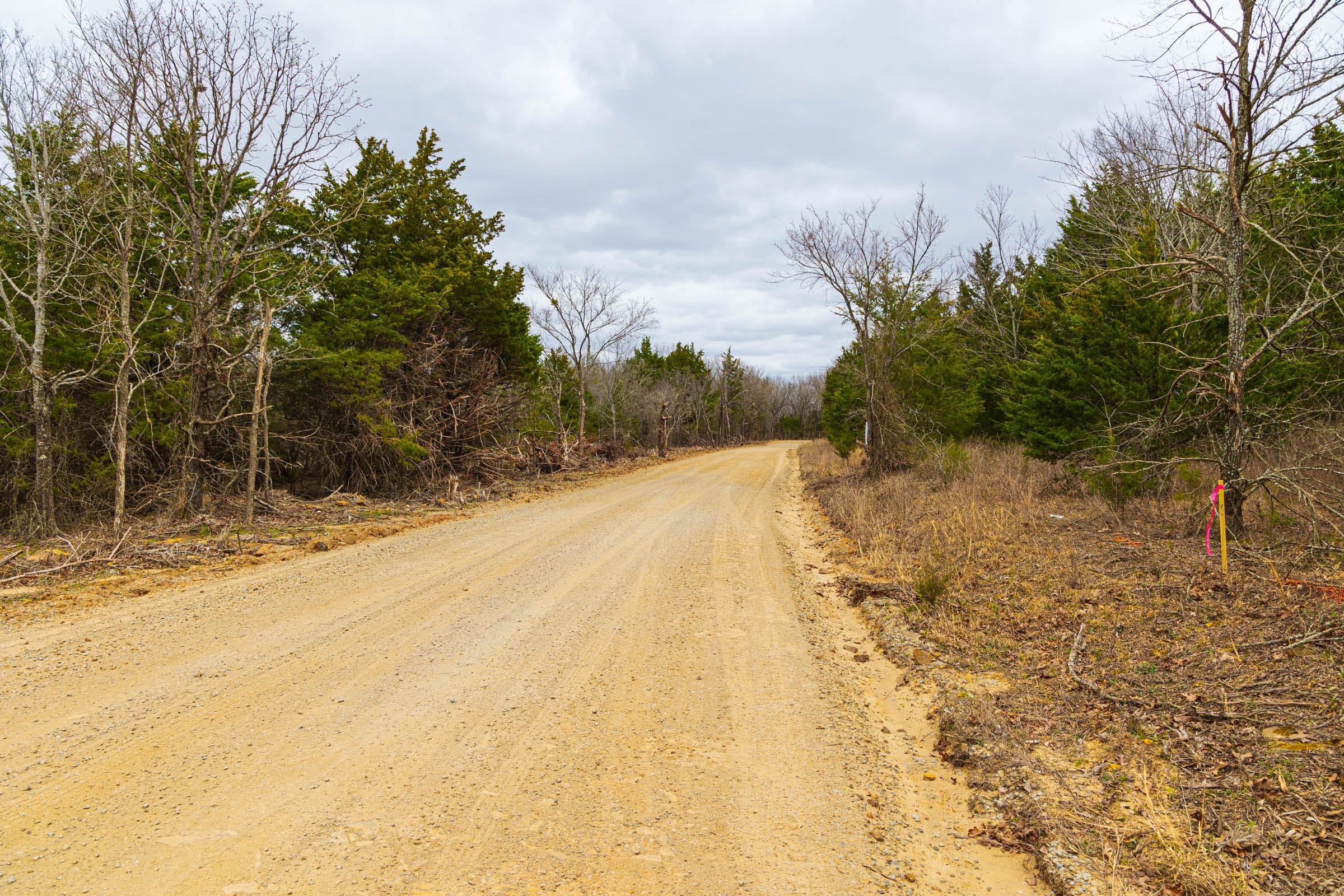 Reserves At Cattail Cove Phase I Tract 13 photo 7