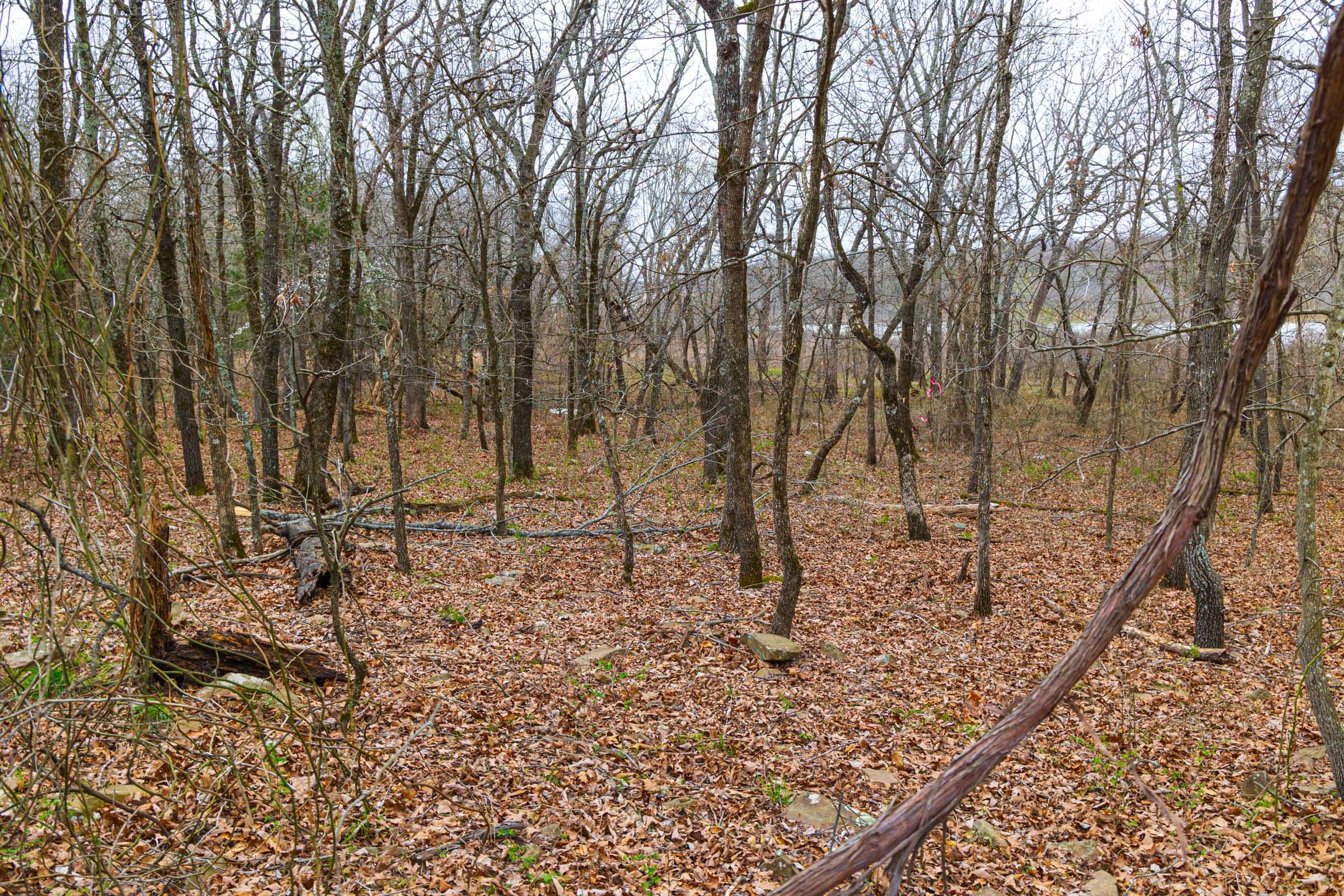Reserves At Cattail Cove Phase I Tract 13 photo 11