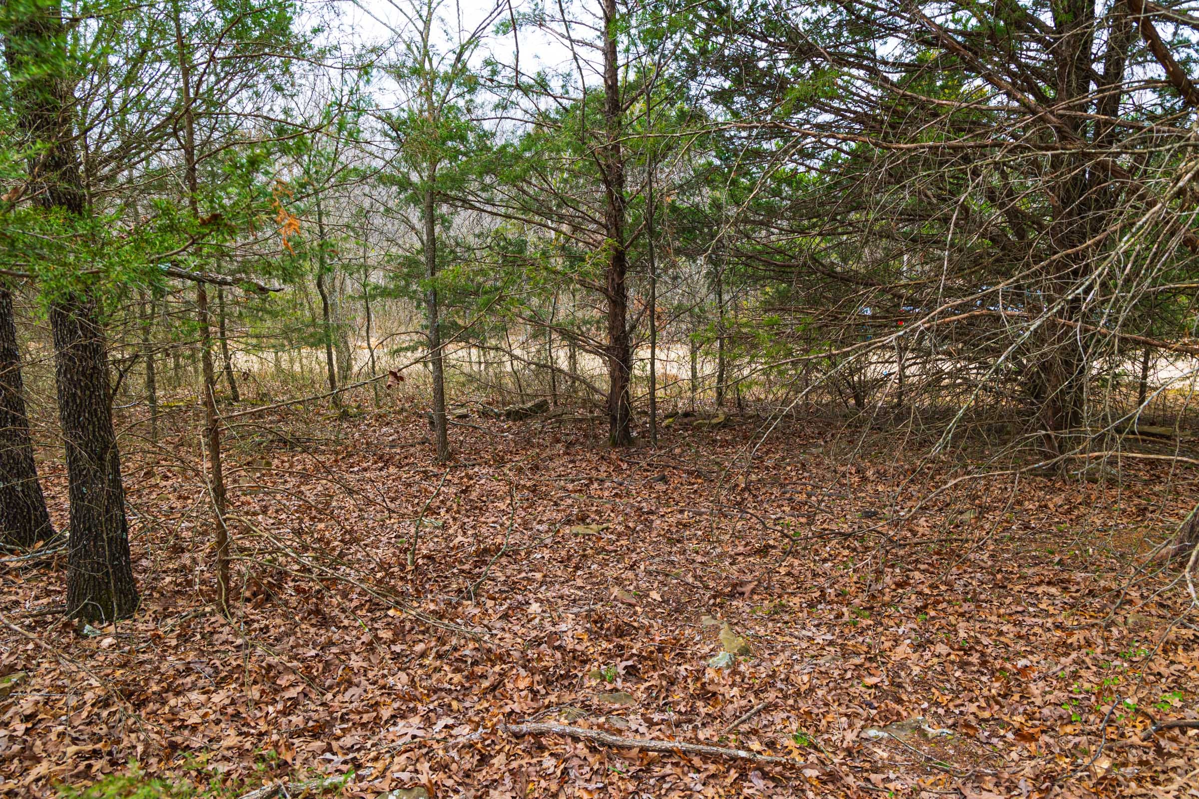 Reserves At Cattail Cove Phase I Tract 13 photo 9