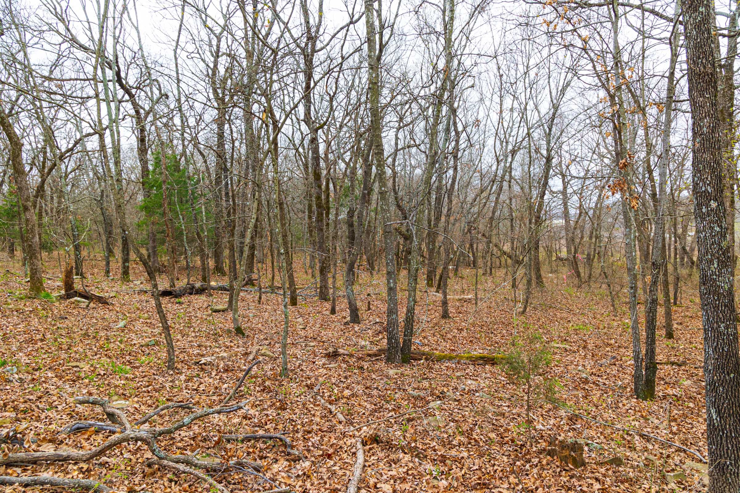 Reserves At Cattail Cove Phase I Tract 13 photo 3