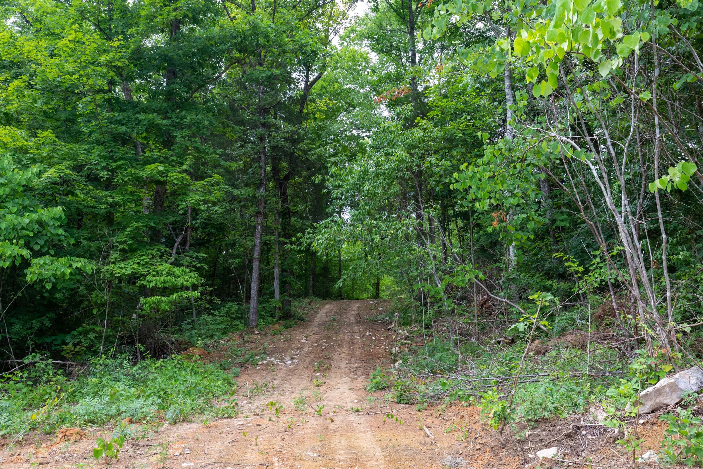 Tucker Hollow Tract 8 photo 13