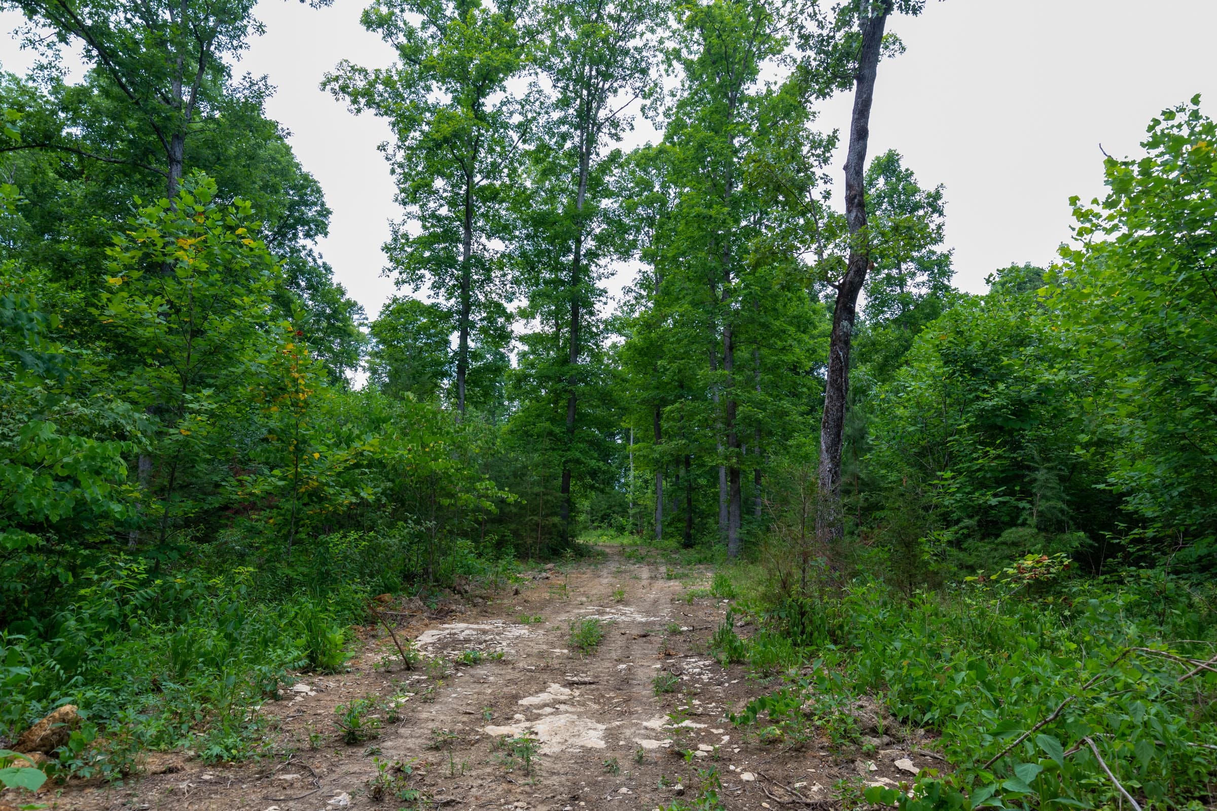 Tucker Hollow Tract 8 photo 5