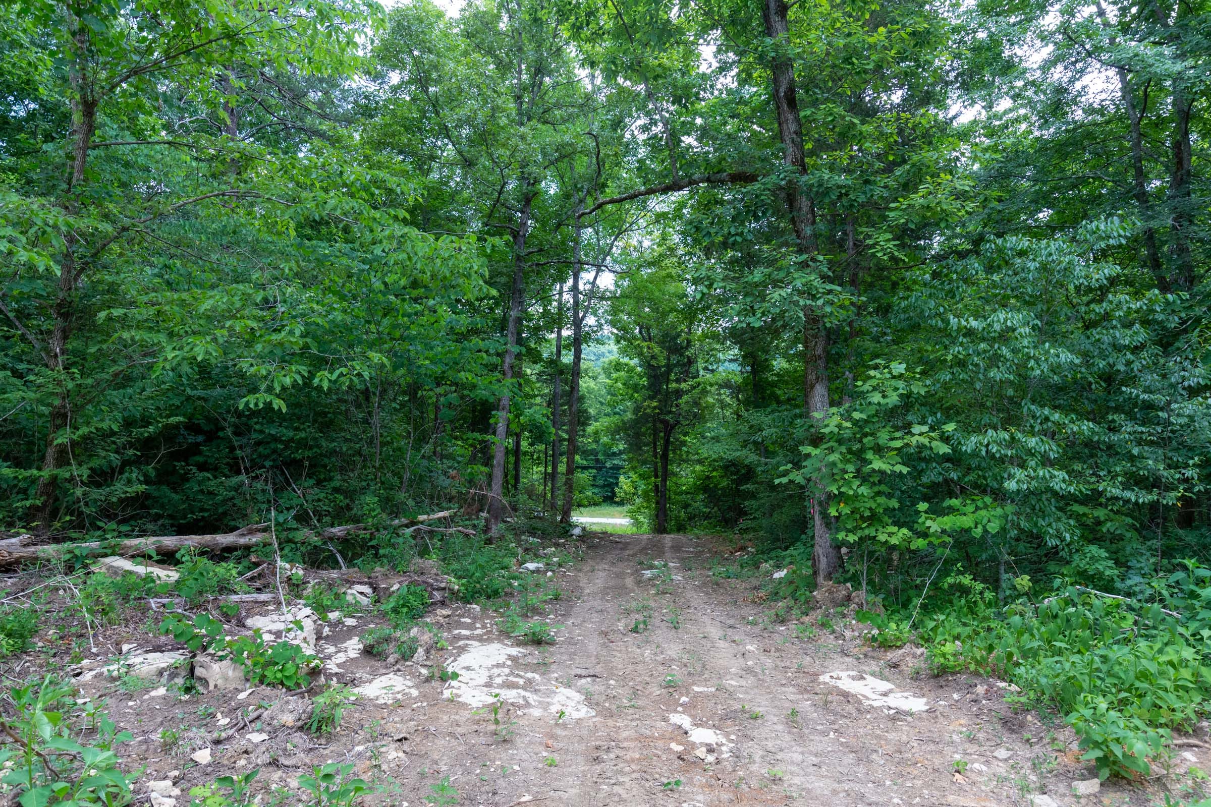Tucker Hollow Tract 8 photo 7