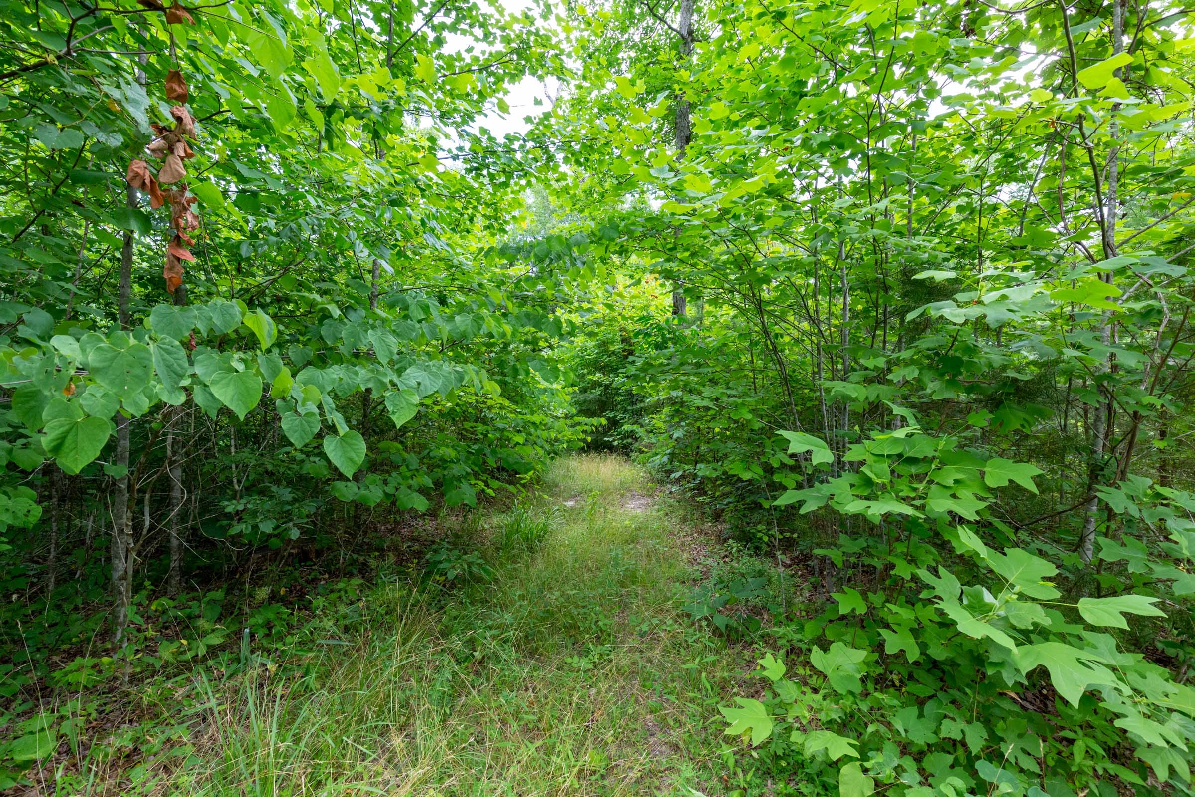 Tucker Hollow Tract 8 photo 9