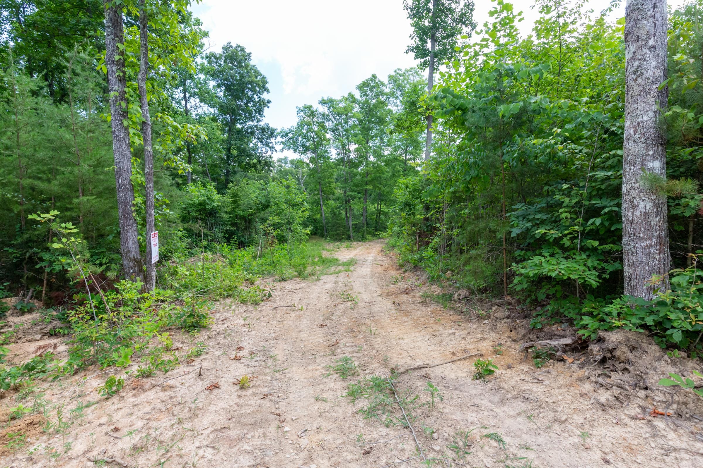 Tucker Hollow Tract 8 photo 10