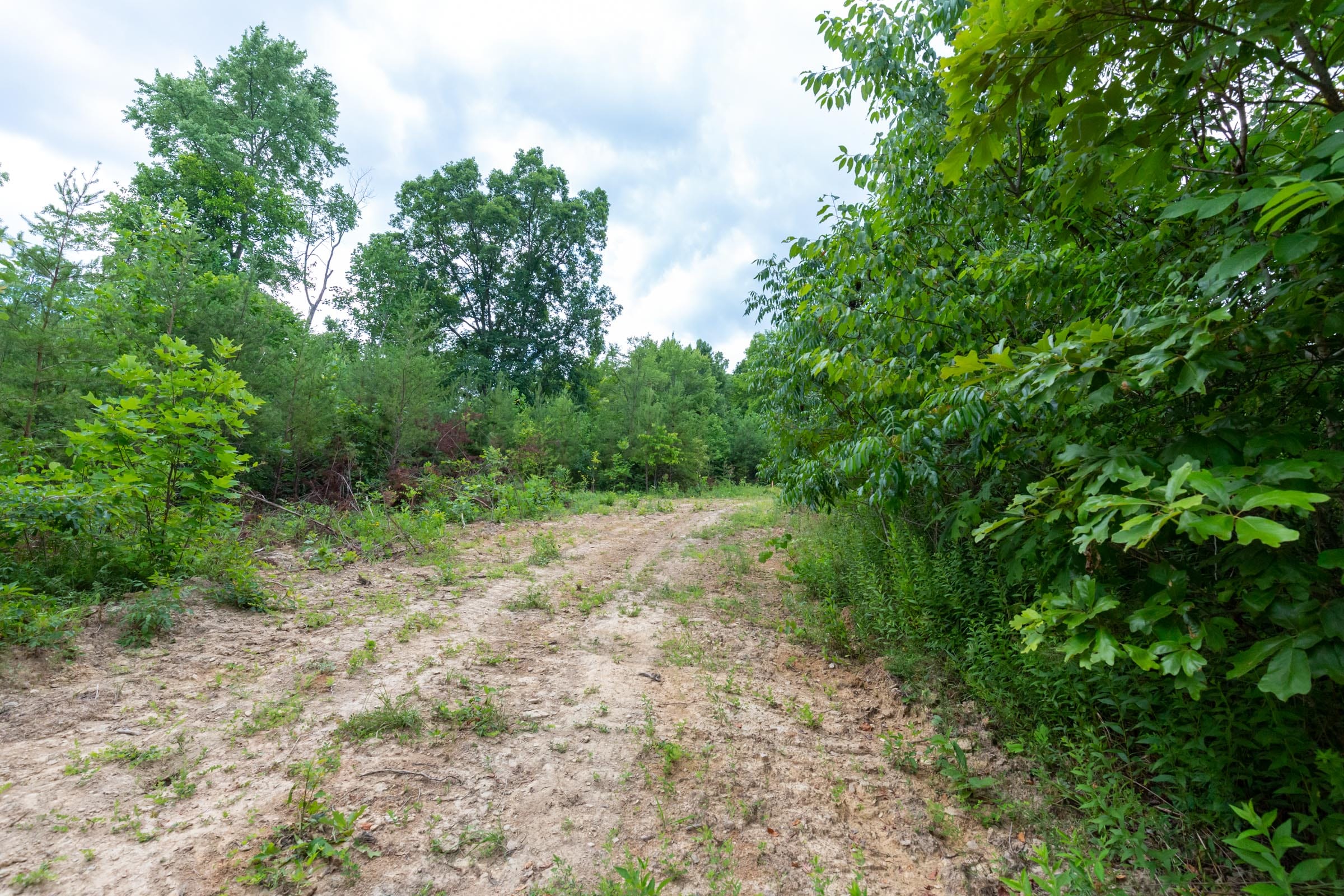 Tucker Hollow Tract 8 photo 2