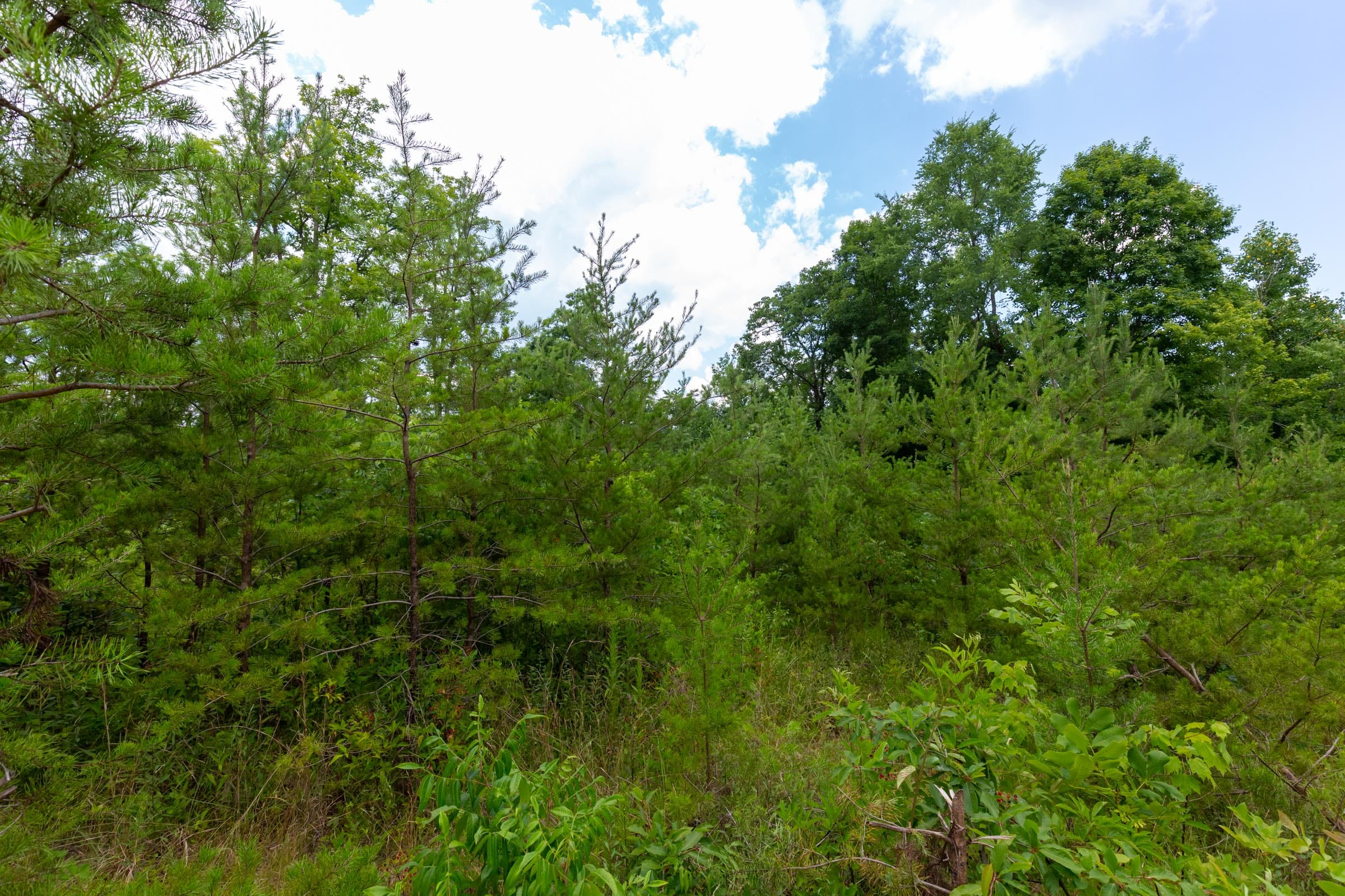 Tucker Hollow Tract 8 photo 1