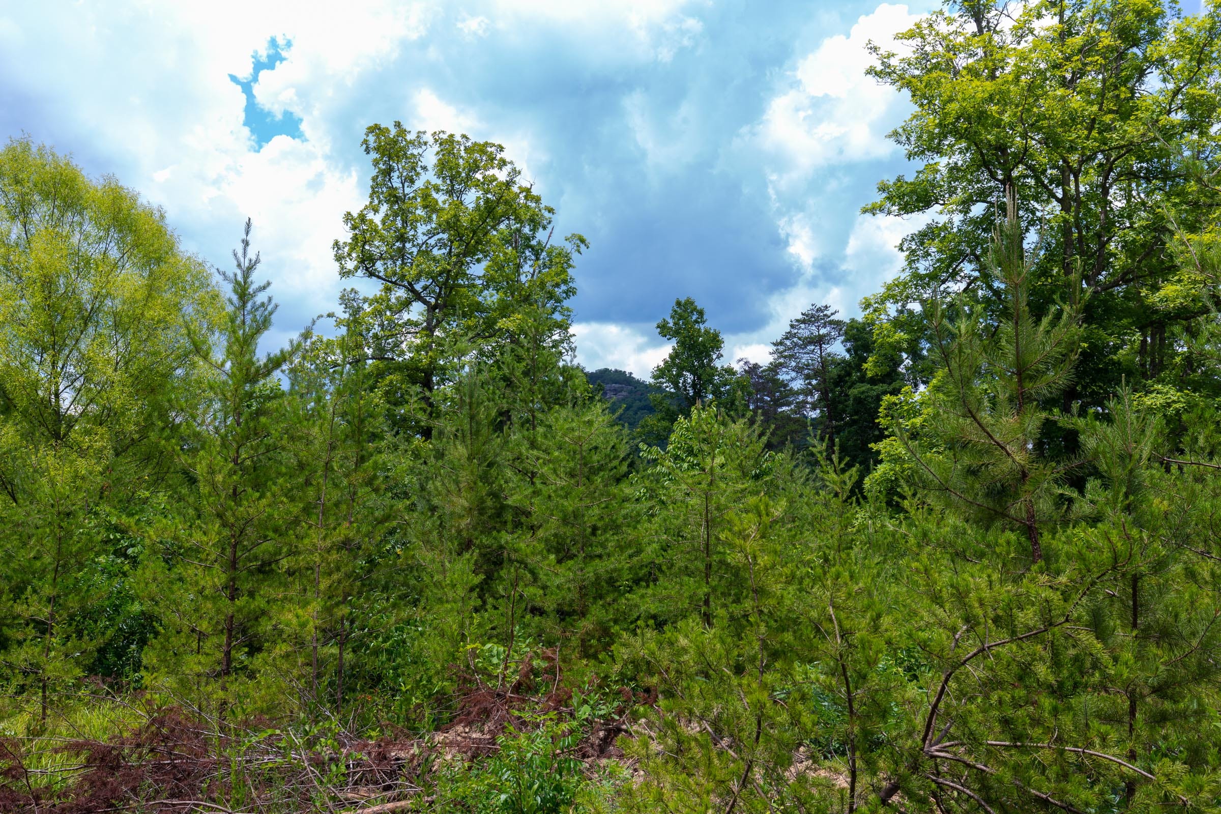Tucker Hollow Tract 8 photo 14