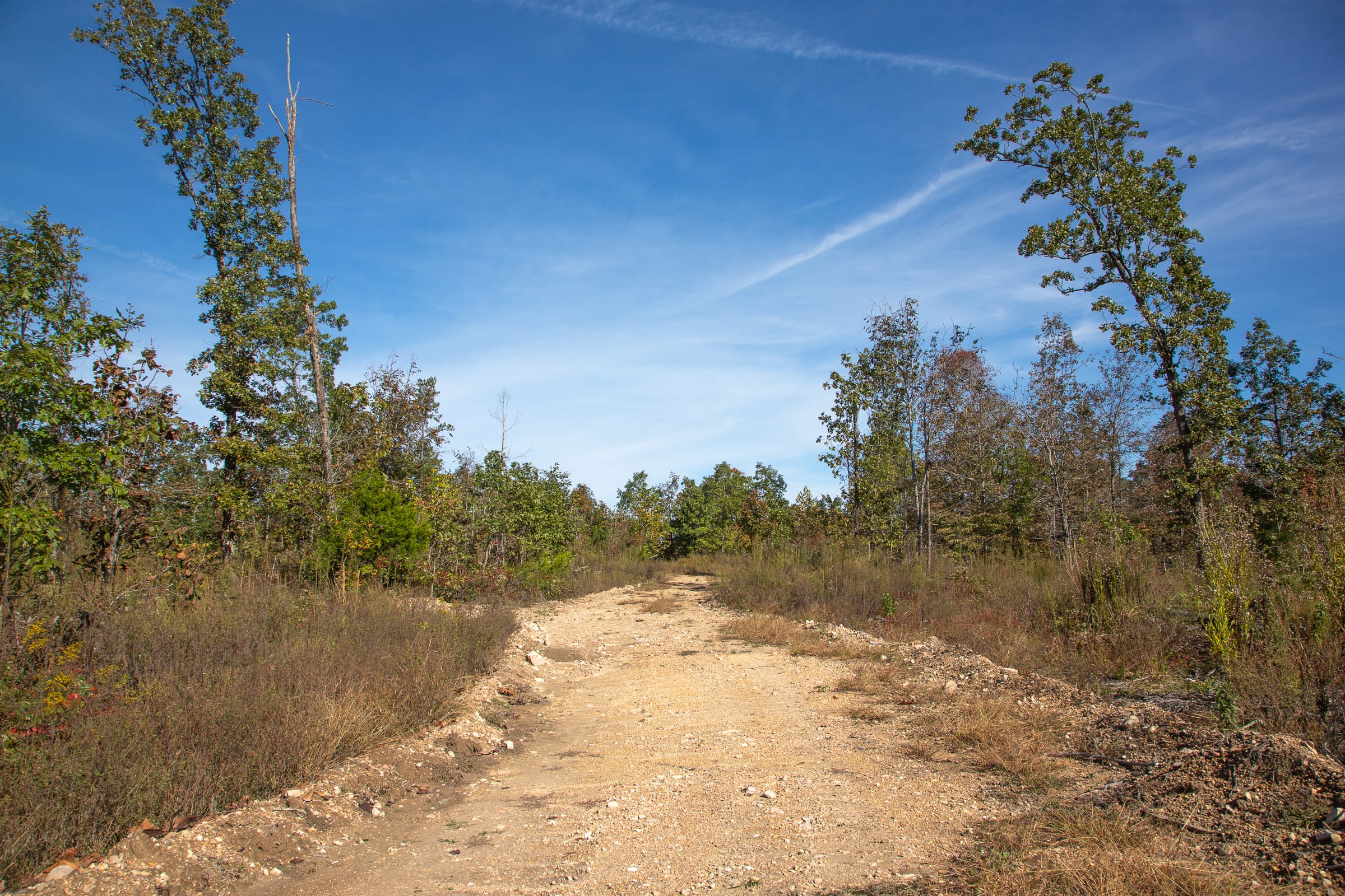 Borgmann’s Hollow Phase IV Tract 129 photo 1