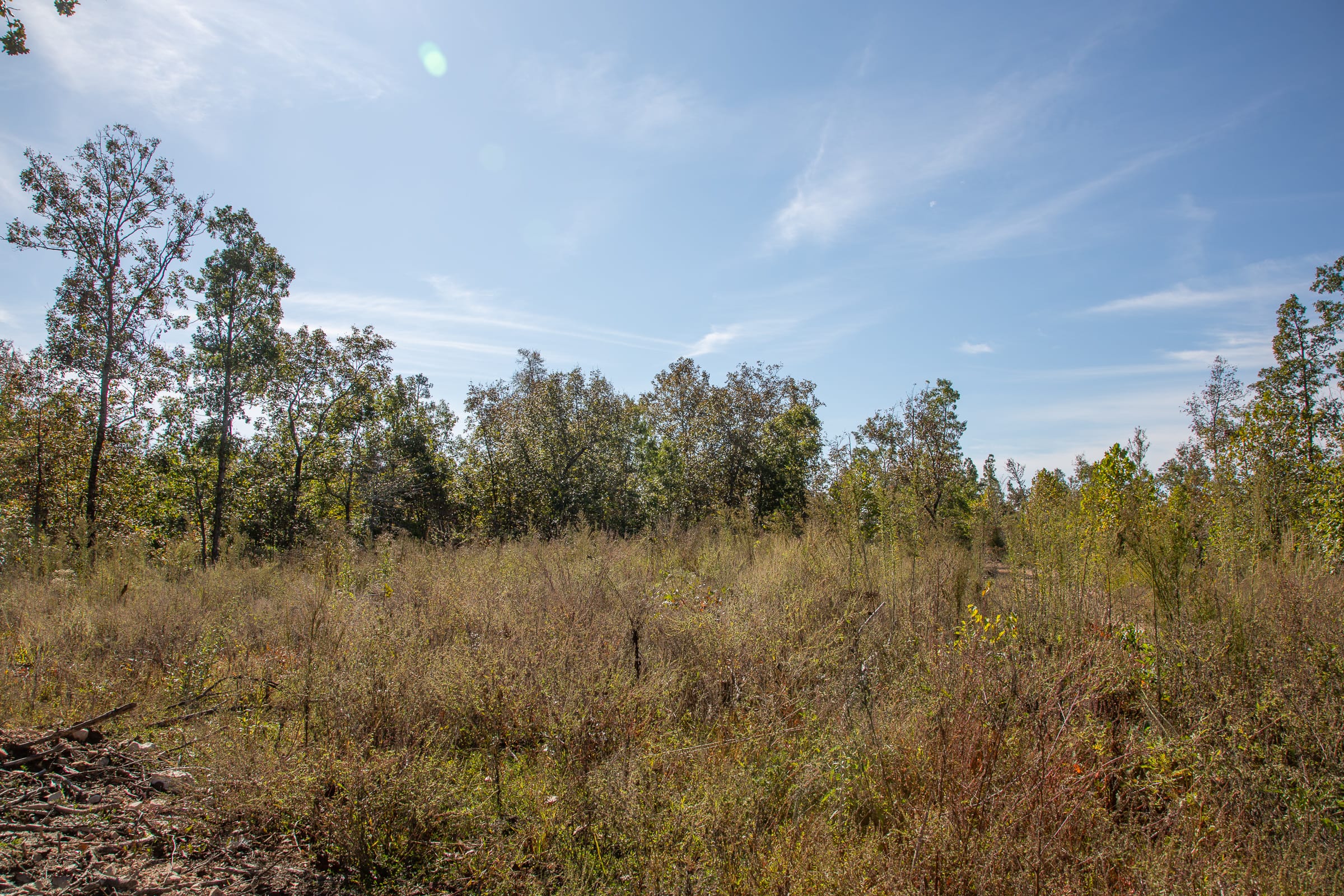 Borgmann’s Hollow Phase IV Tract 129 photo 4