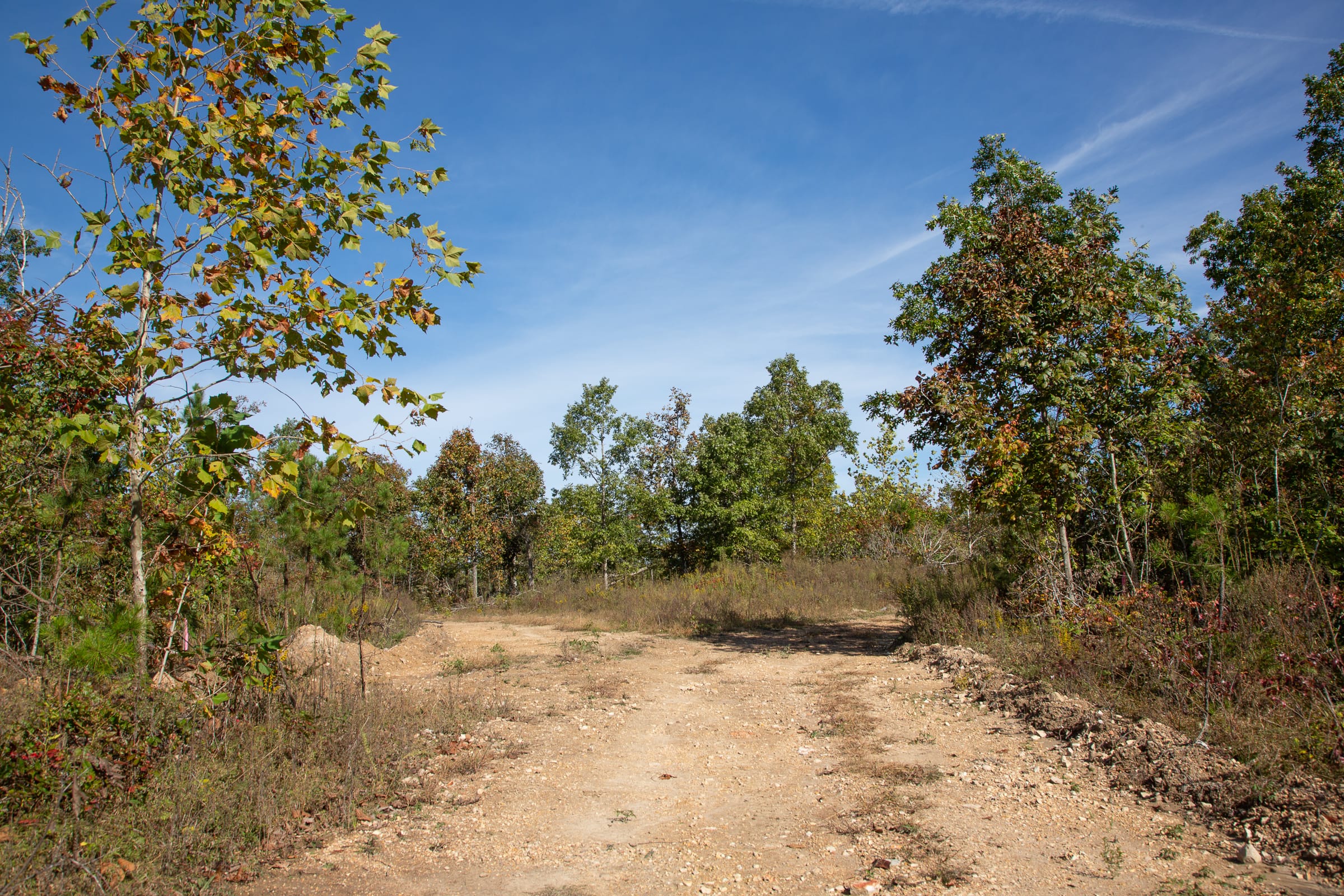 Borgmann’s Hollow Phase IV Tract 129 photo 6