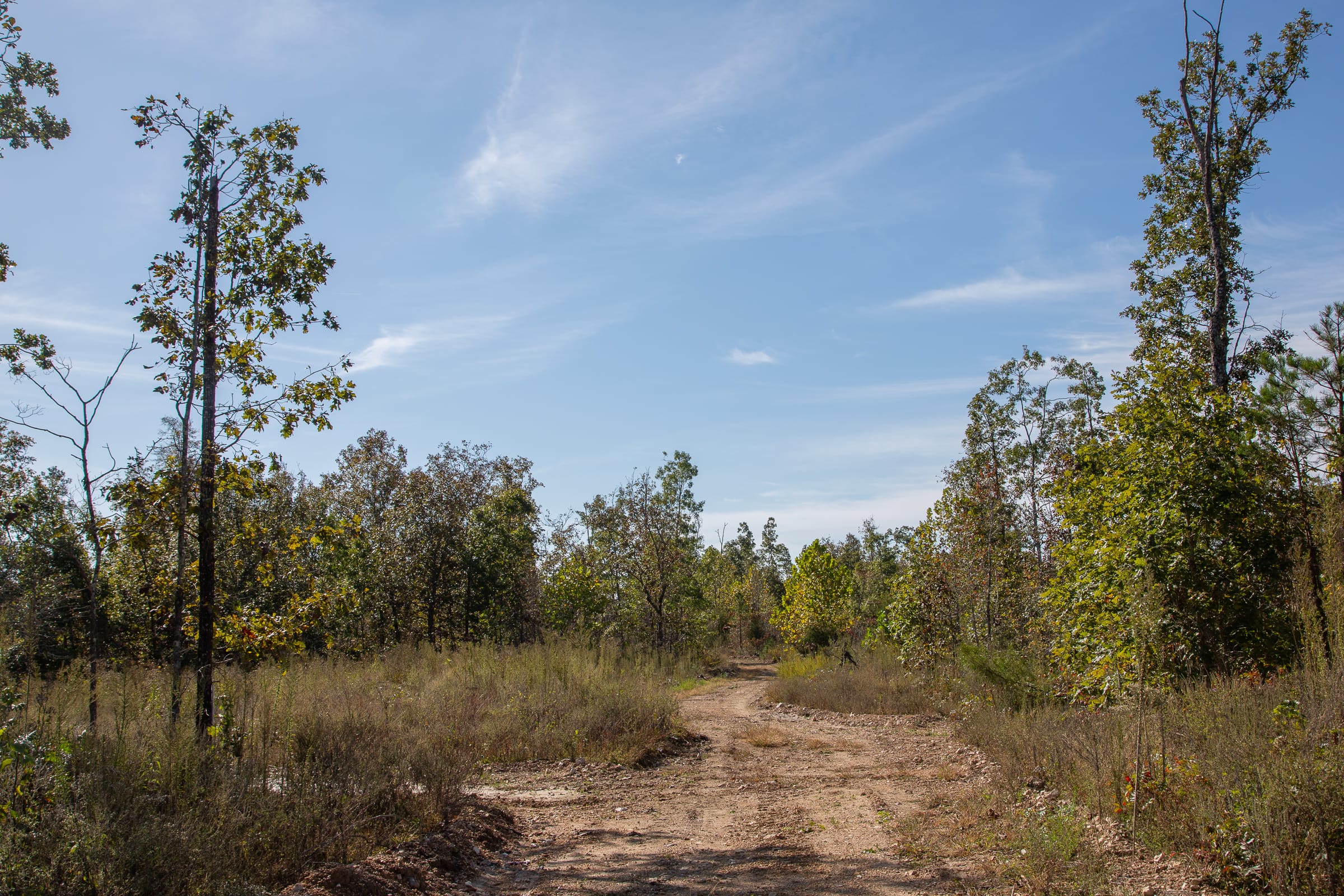 Borgmann’s Hollow Phase IV Tract 129 photo 7