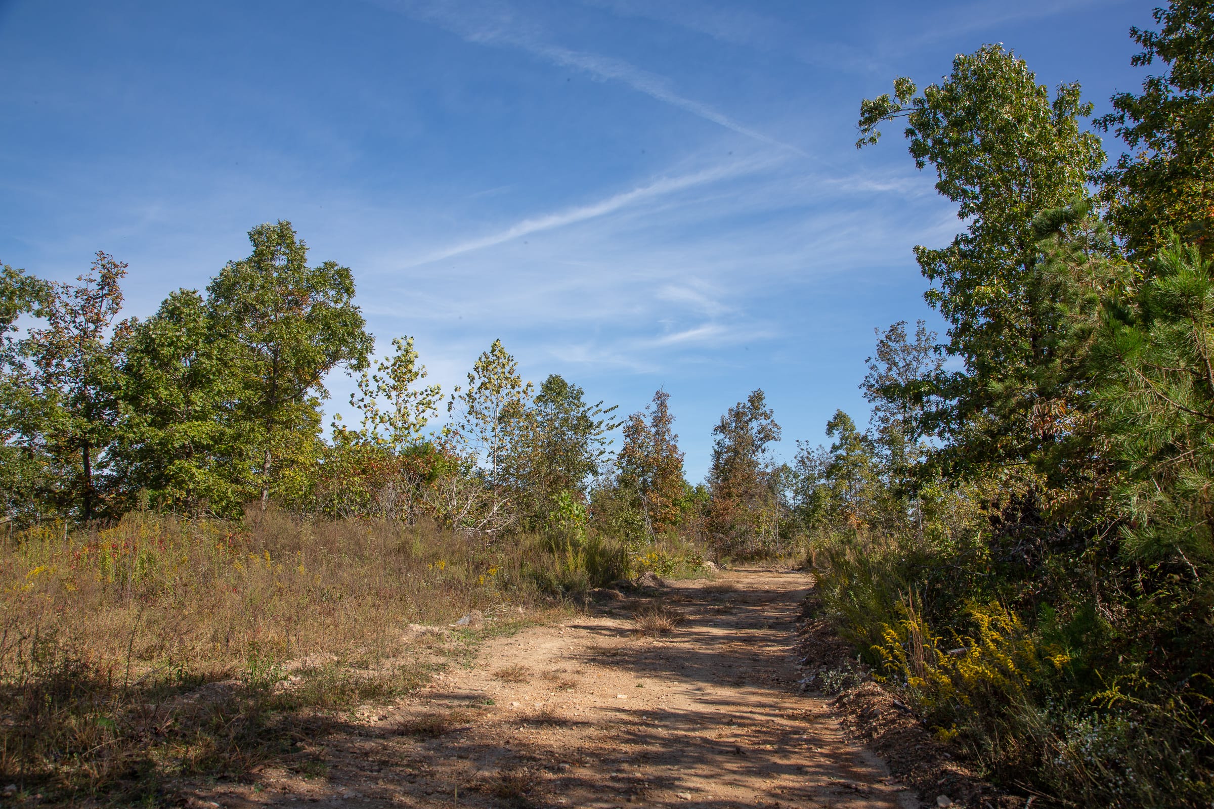 Borgmann’s Hollow Phase IV Tract 129 photo 9
