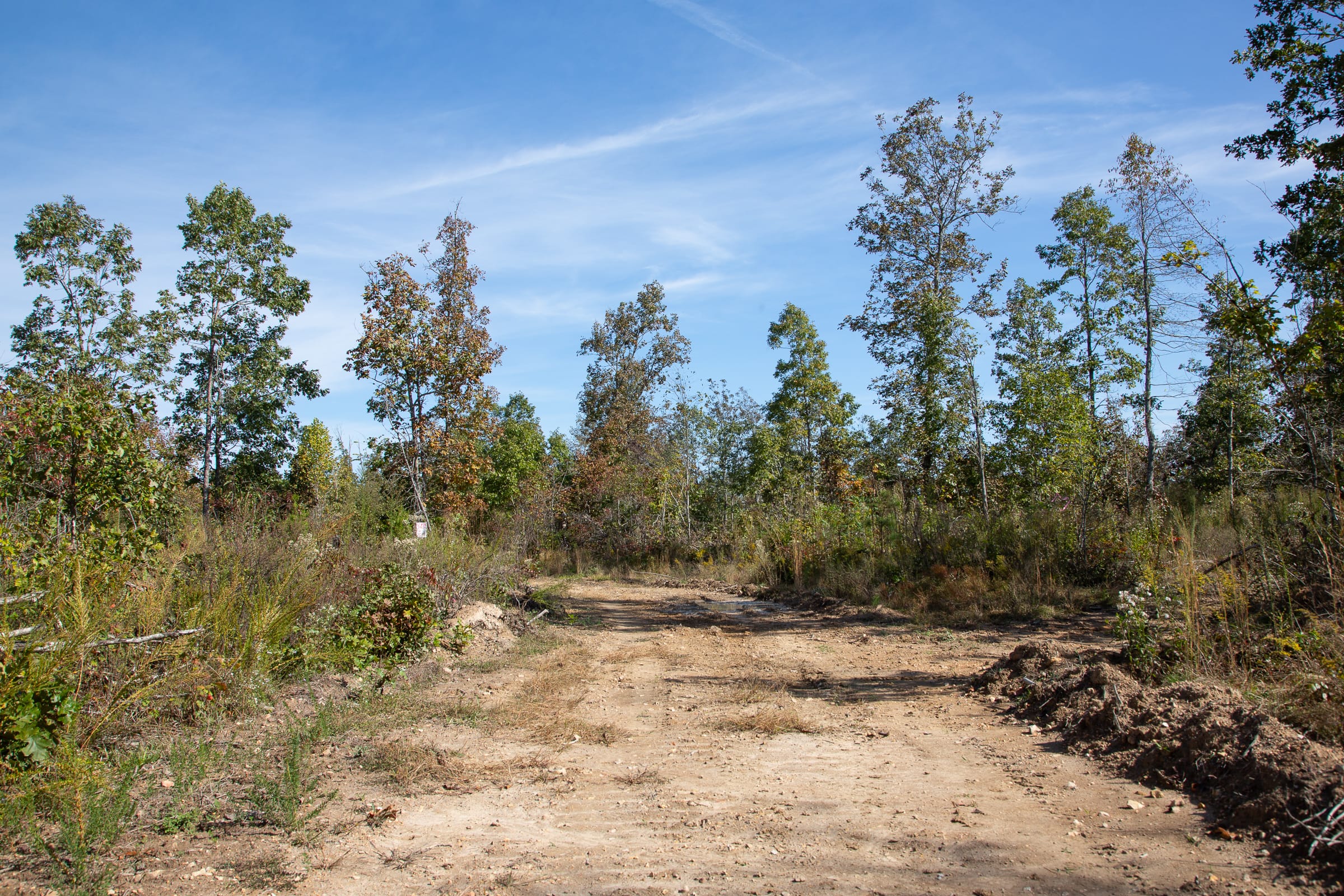 Borgmann’s Hollow Phase IV Tract 129 photo 11