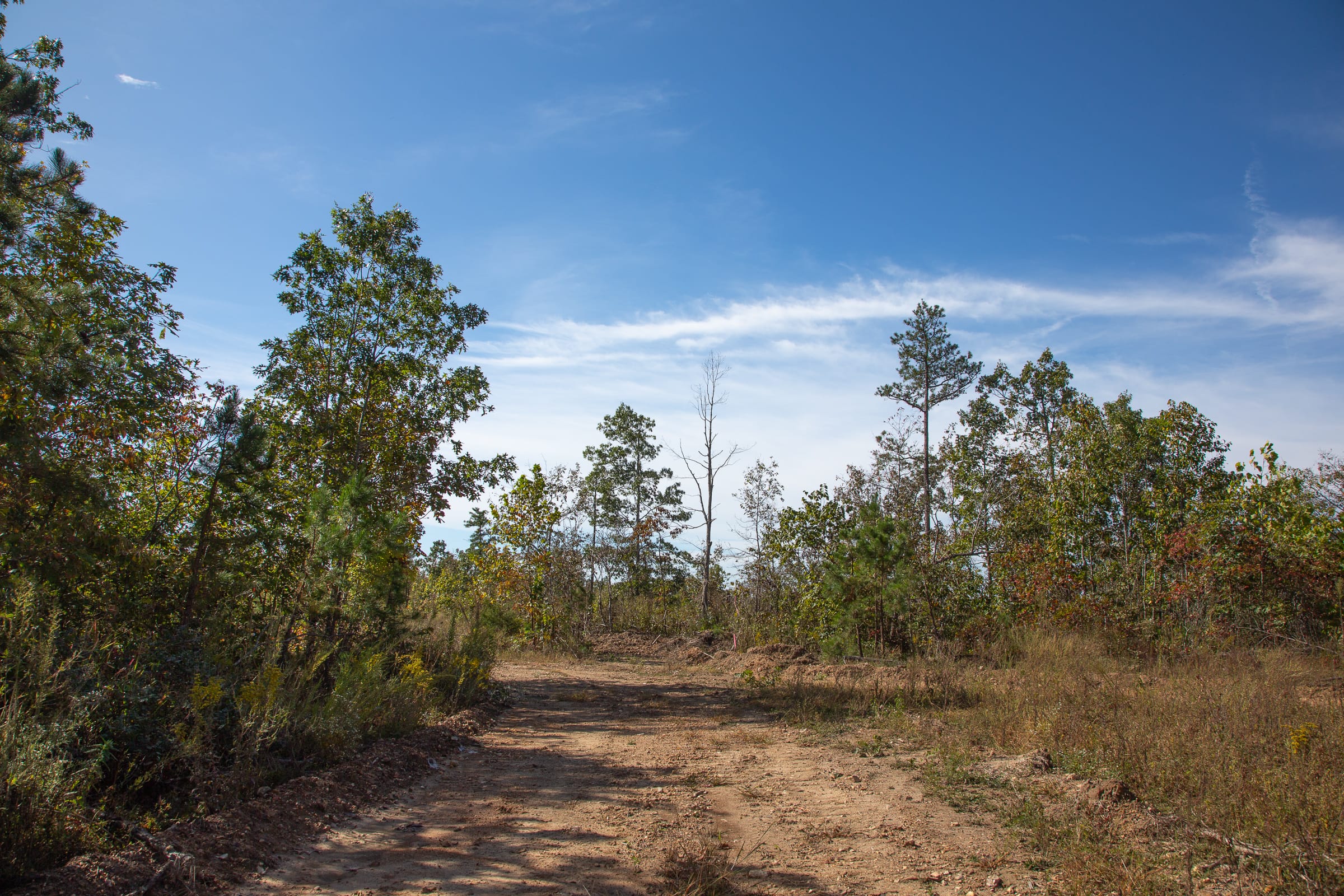 Borgmann’s Hollow Phase IV Tract 129 photo 14